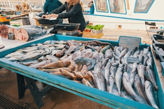 l'intelligence artificielle pour les poissonniers 