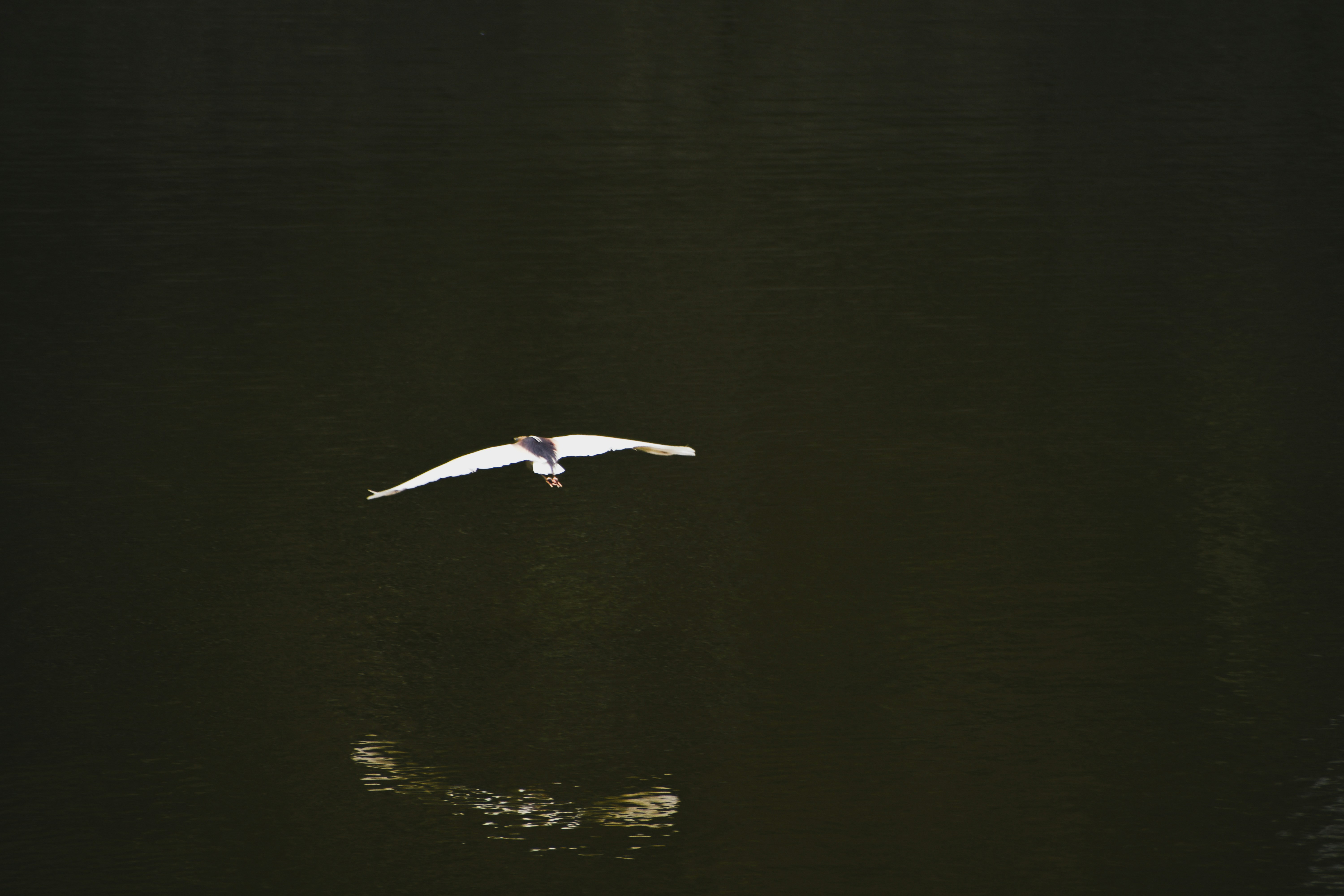Photo by garv_4