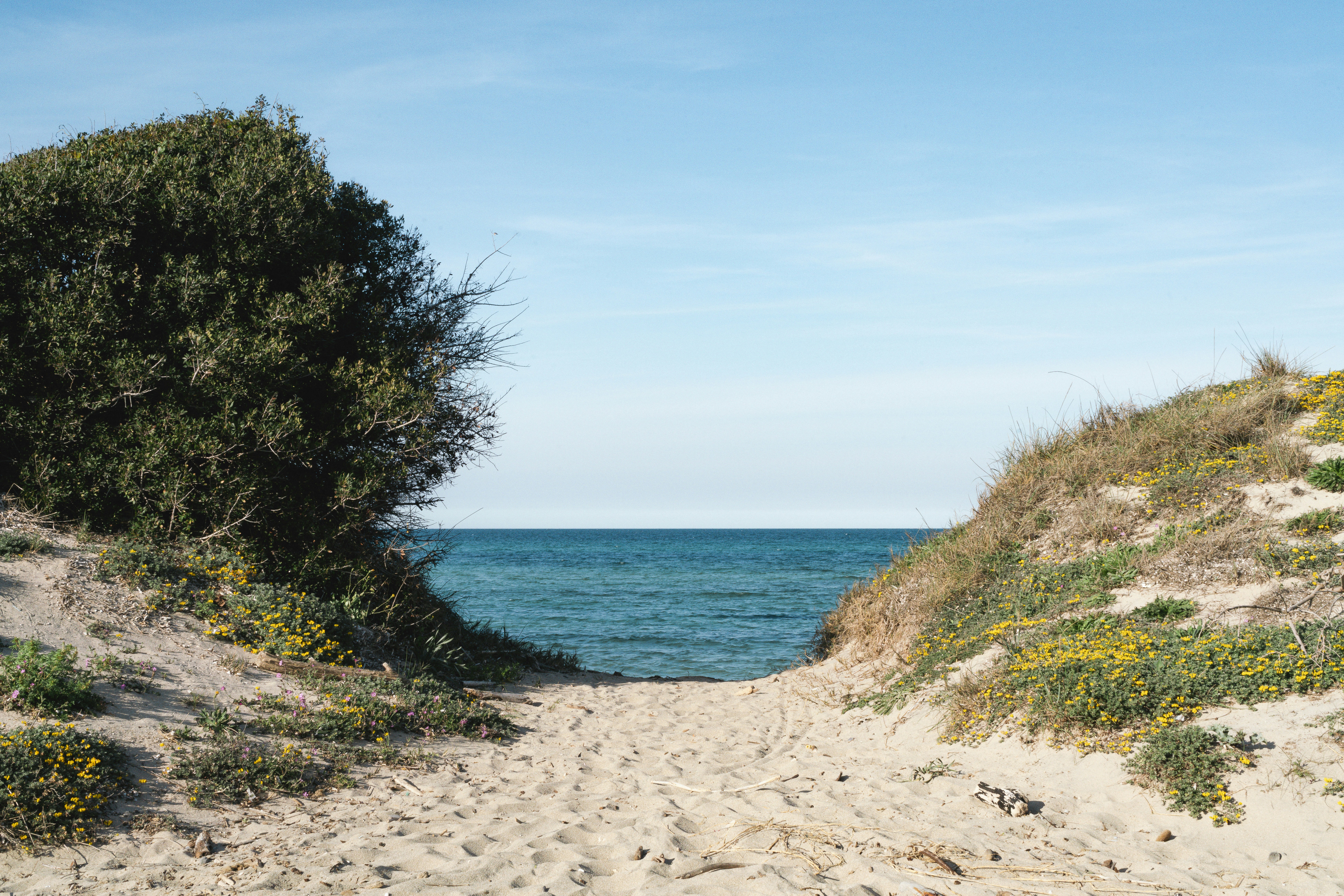 Spiaggia dei Conigli Lampedusa