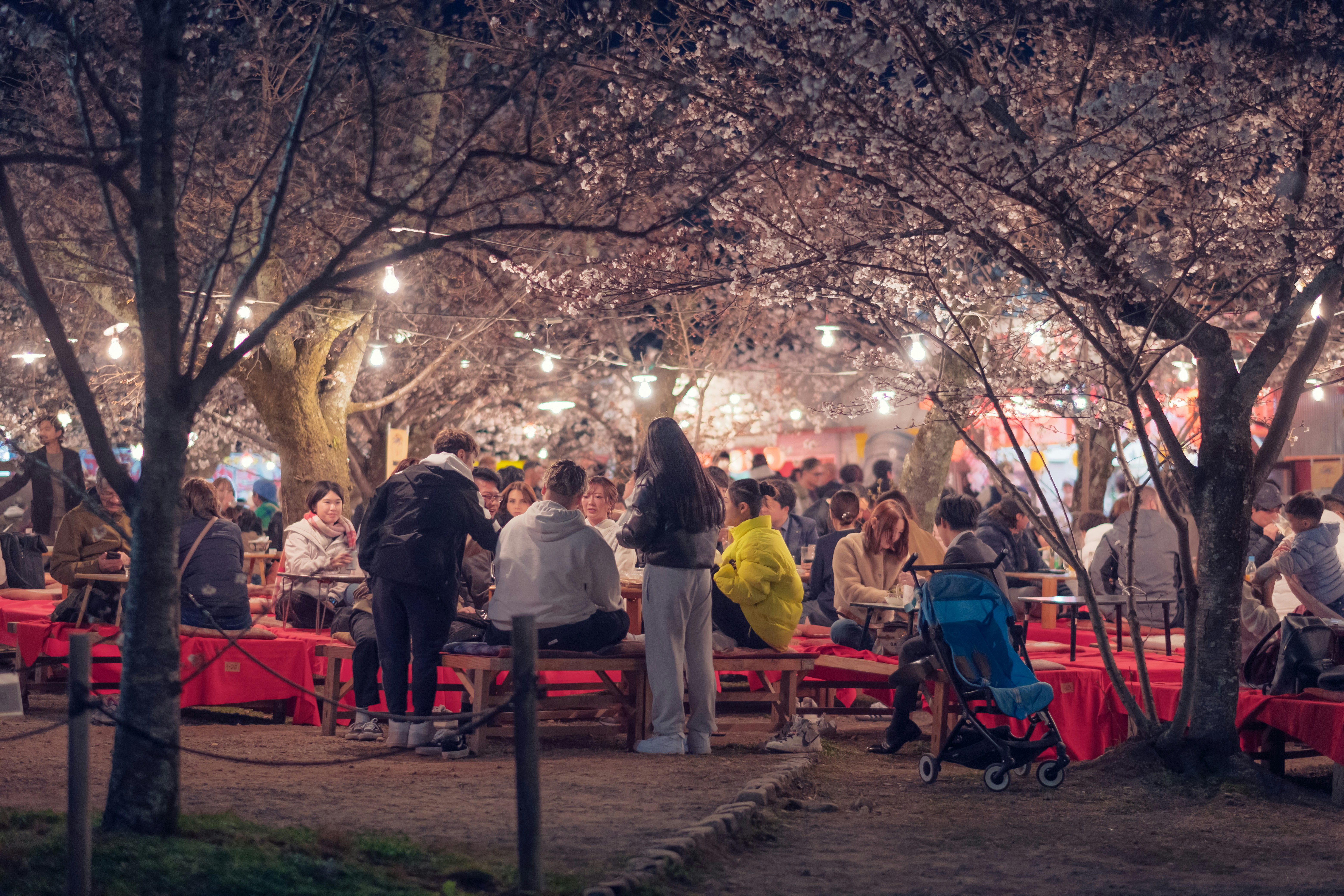 Photo by wenhao_ruan