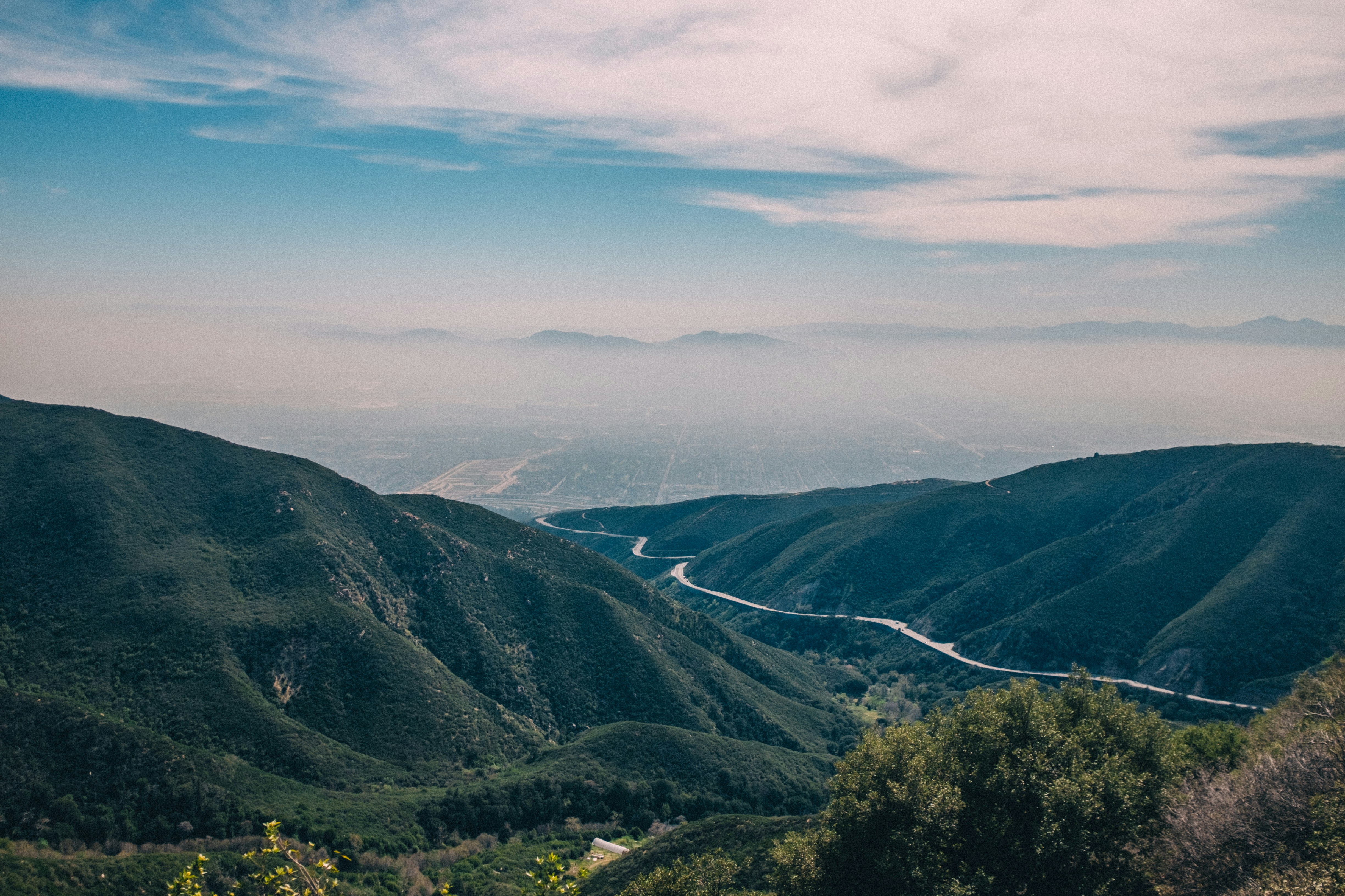 Photo by travisfishl