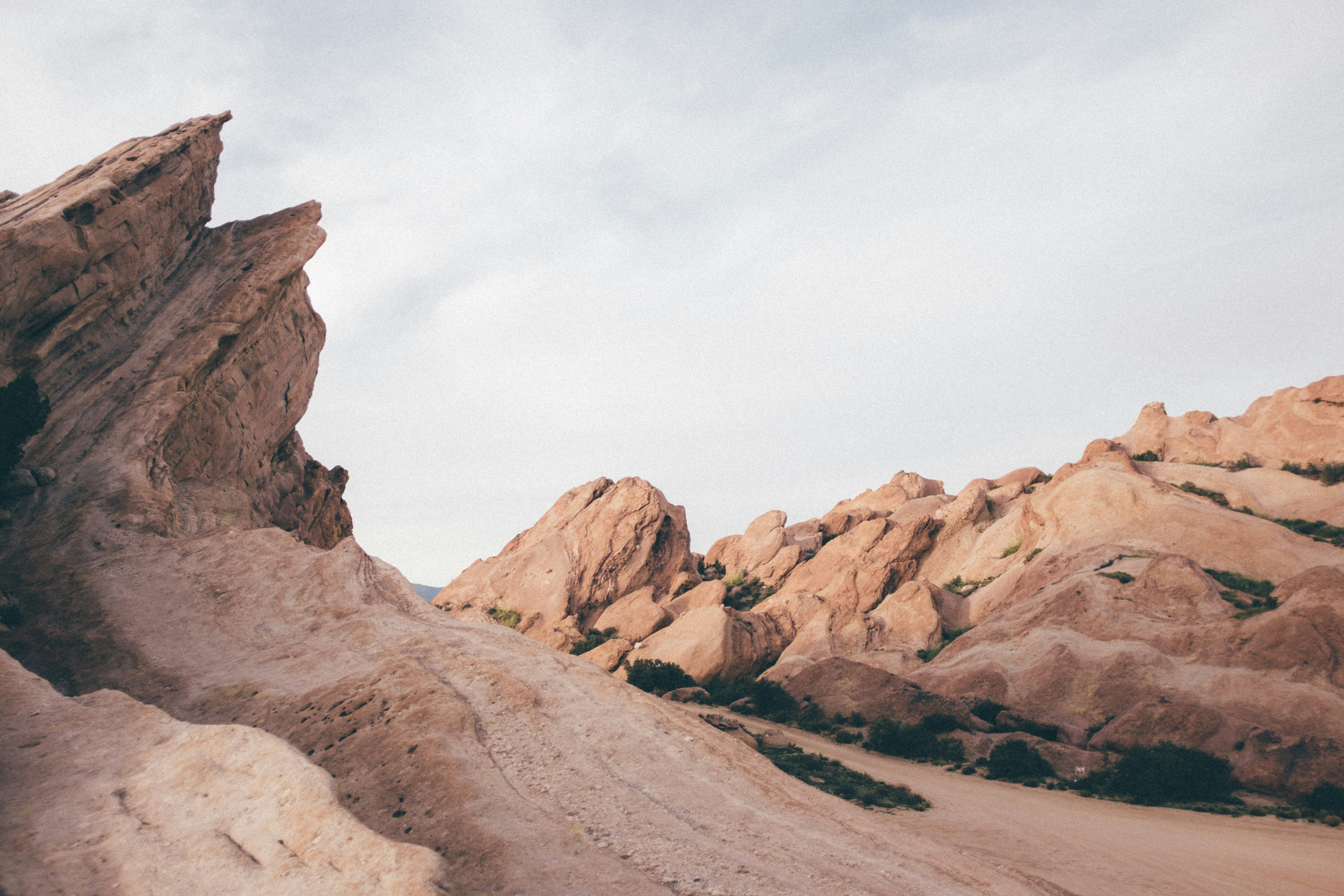 Photo by travisfishl