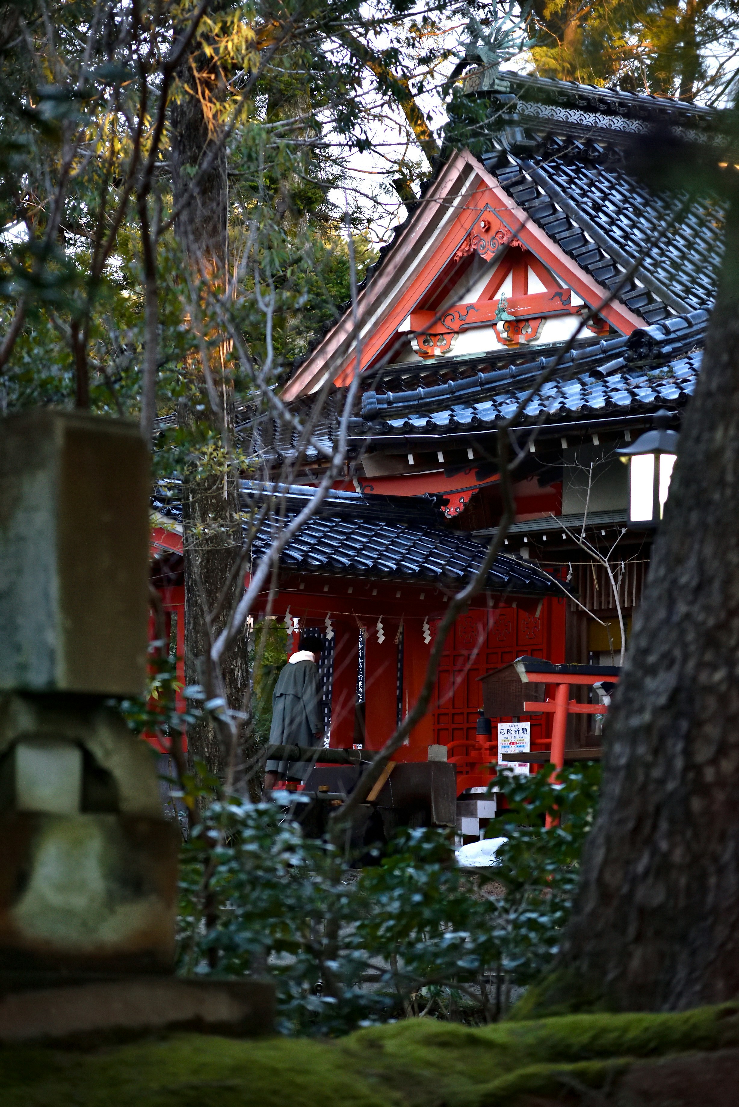 Photo by vignette_colours