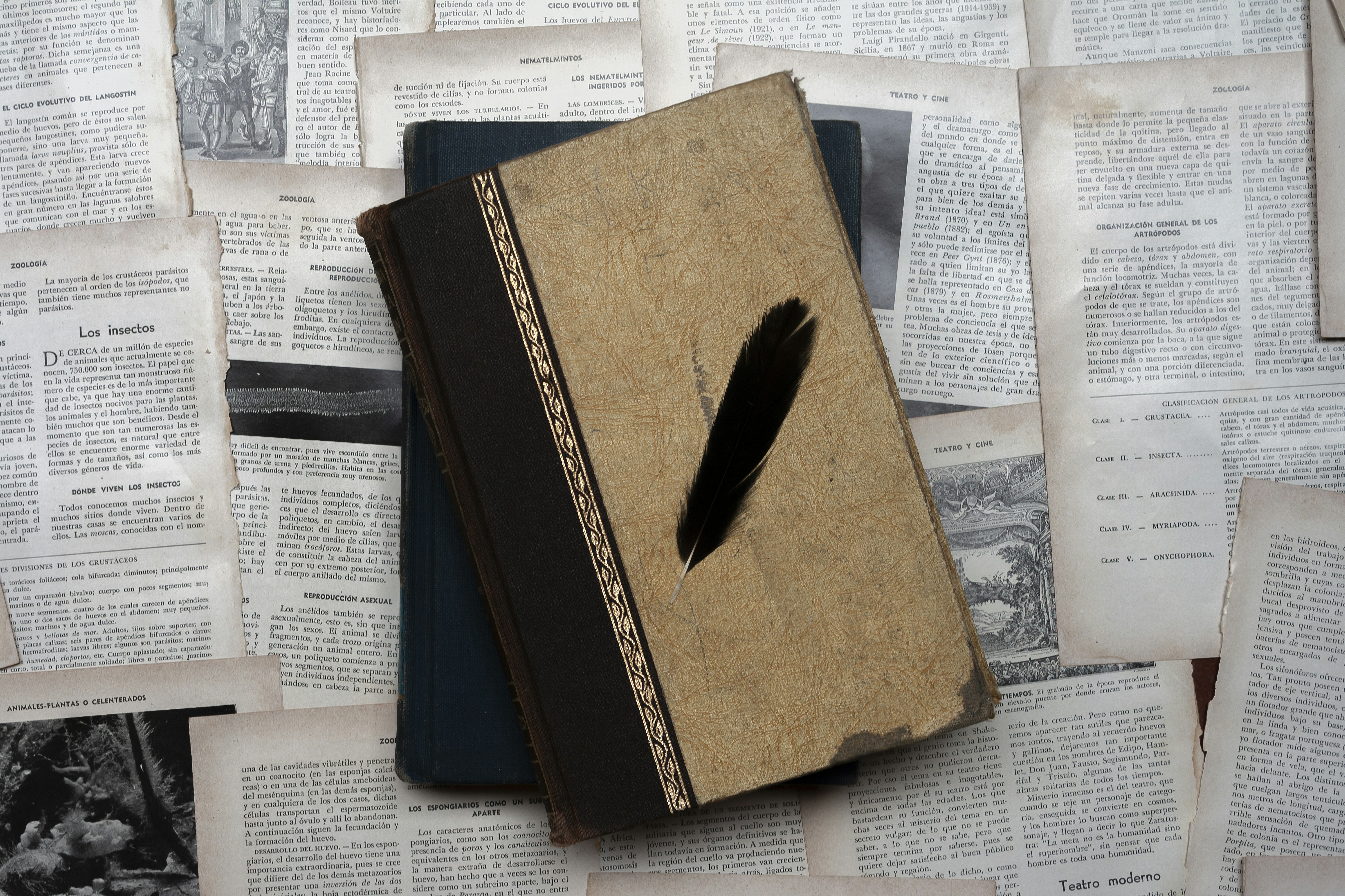 Old books on scattered pages.