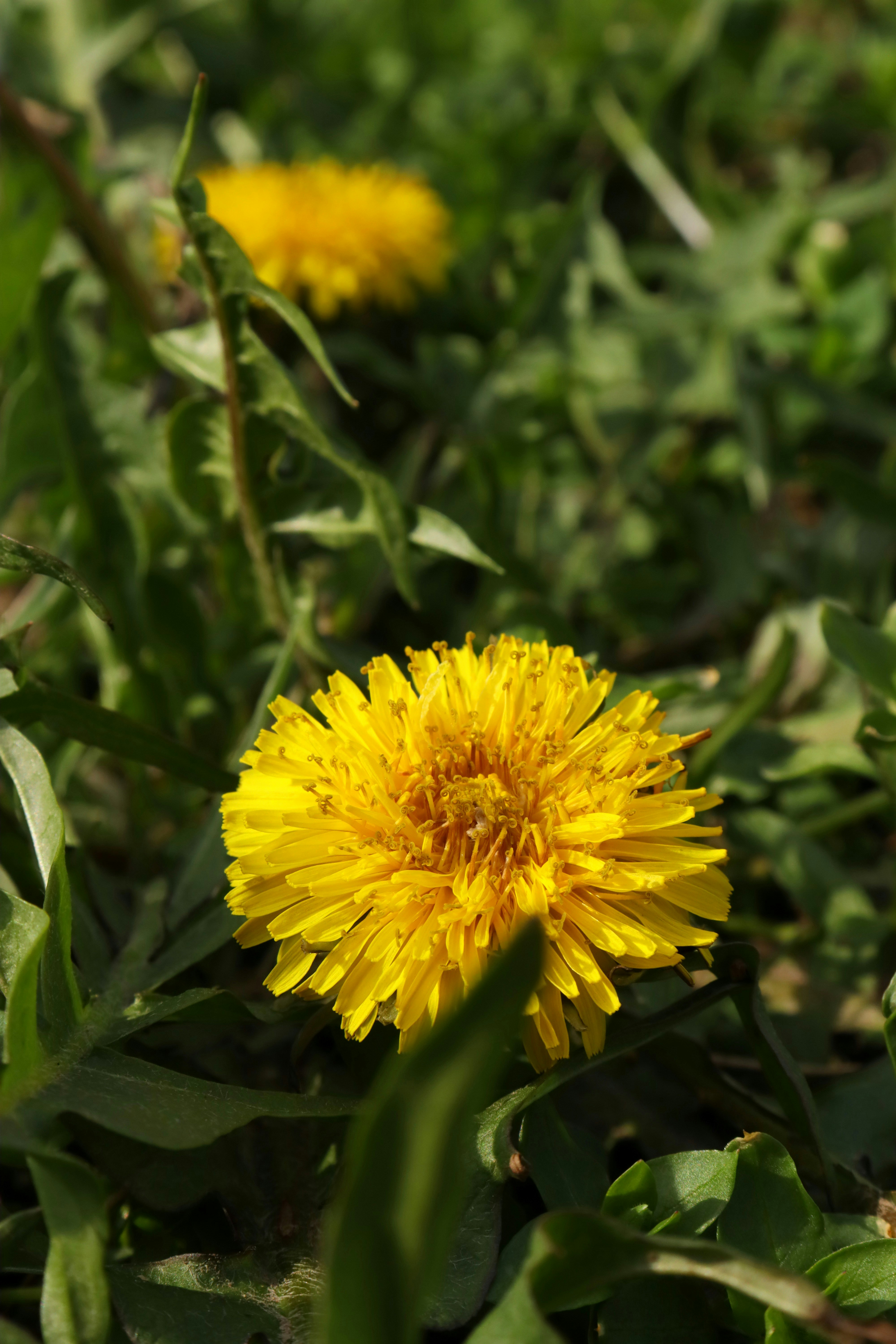 Photo by bored_mongoose