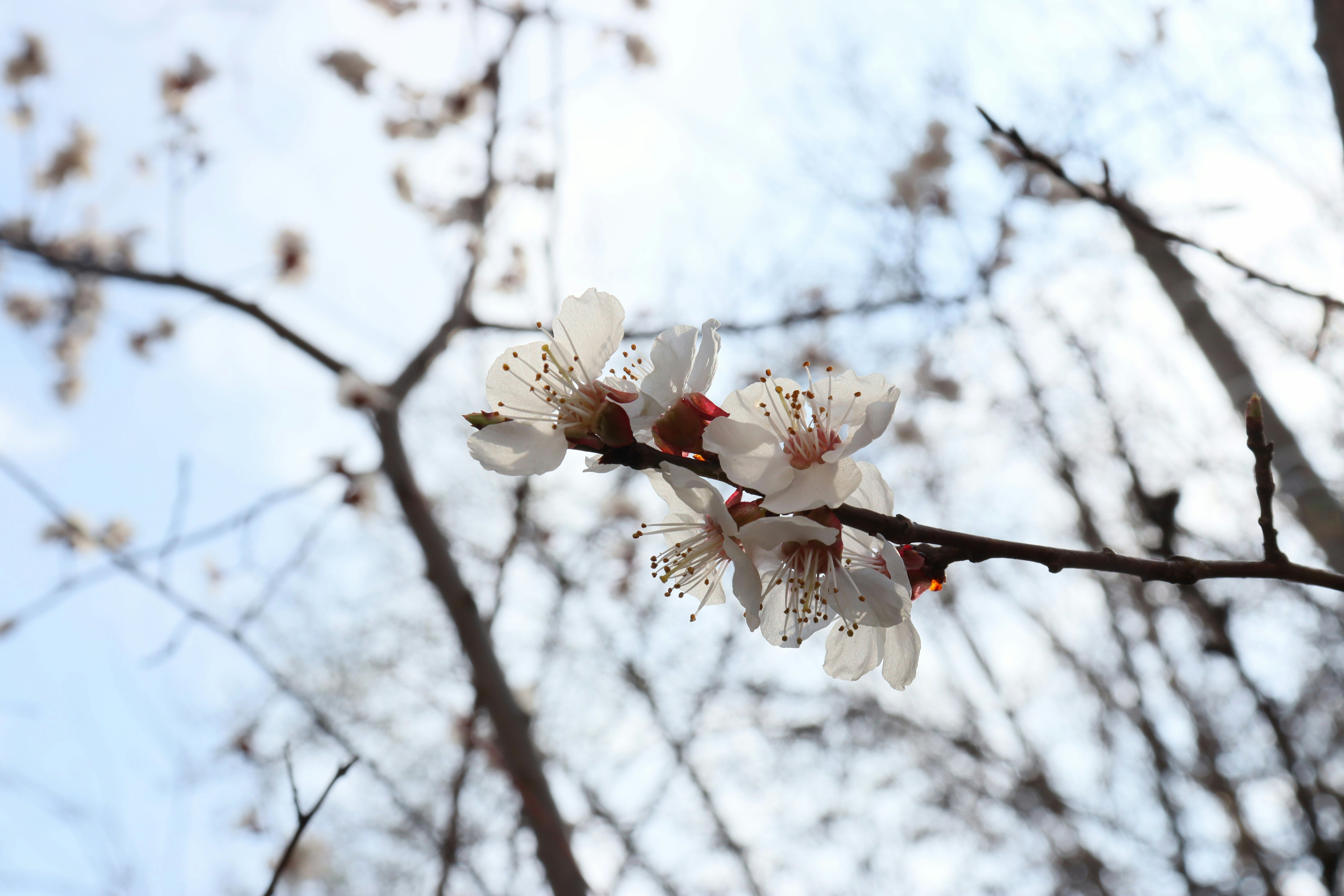 Photo by bored_mongoose