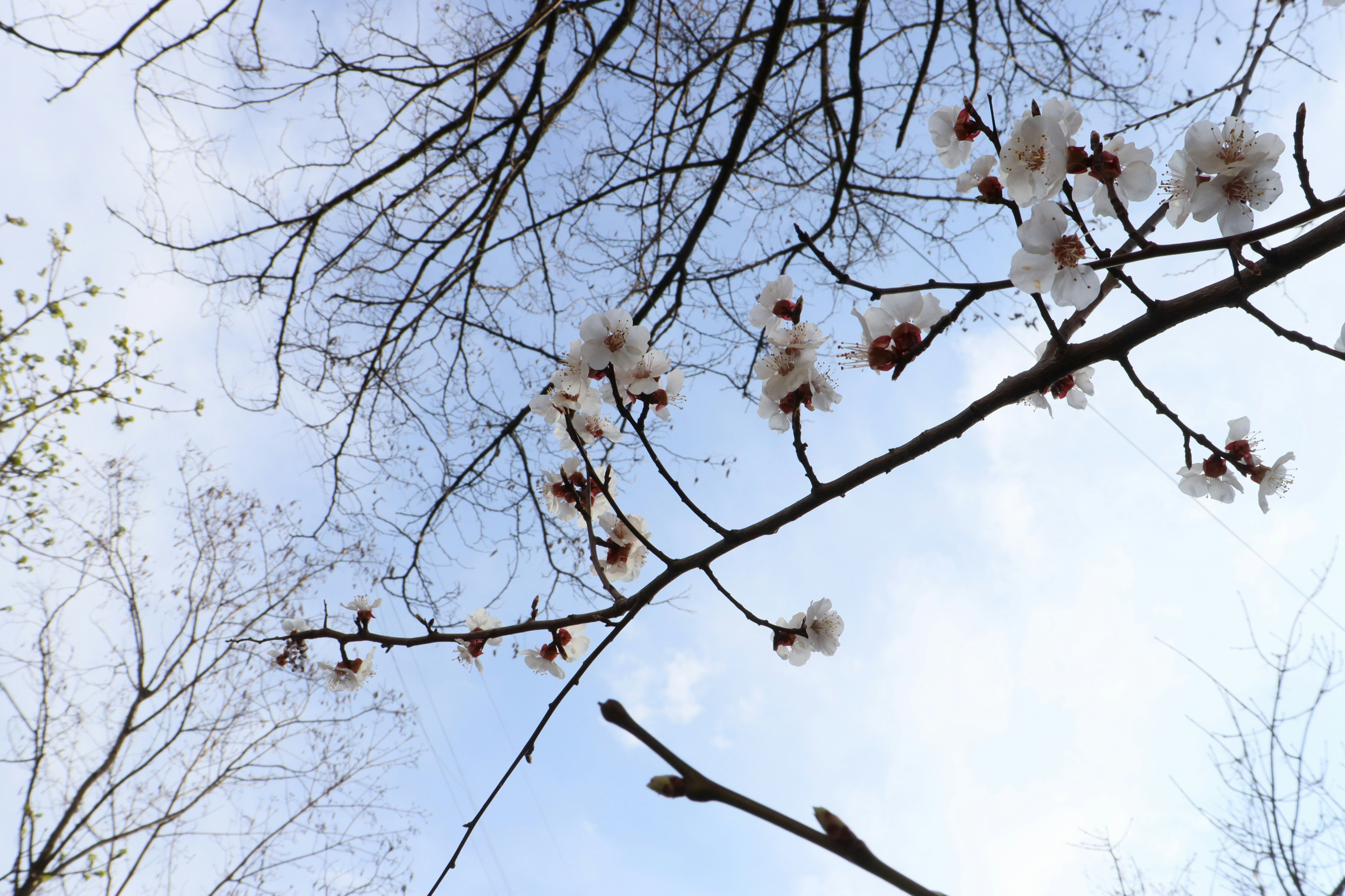 Photo by bored_mongoose