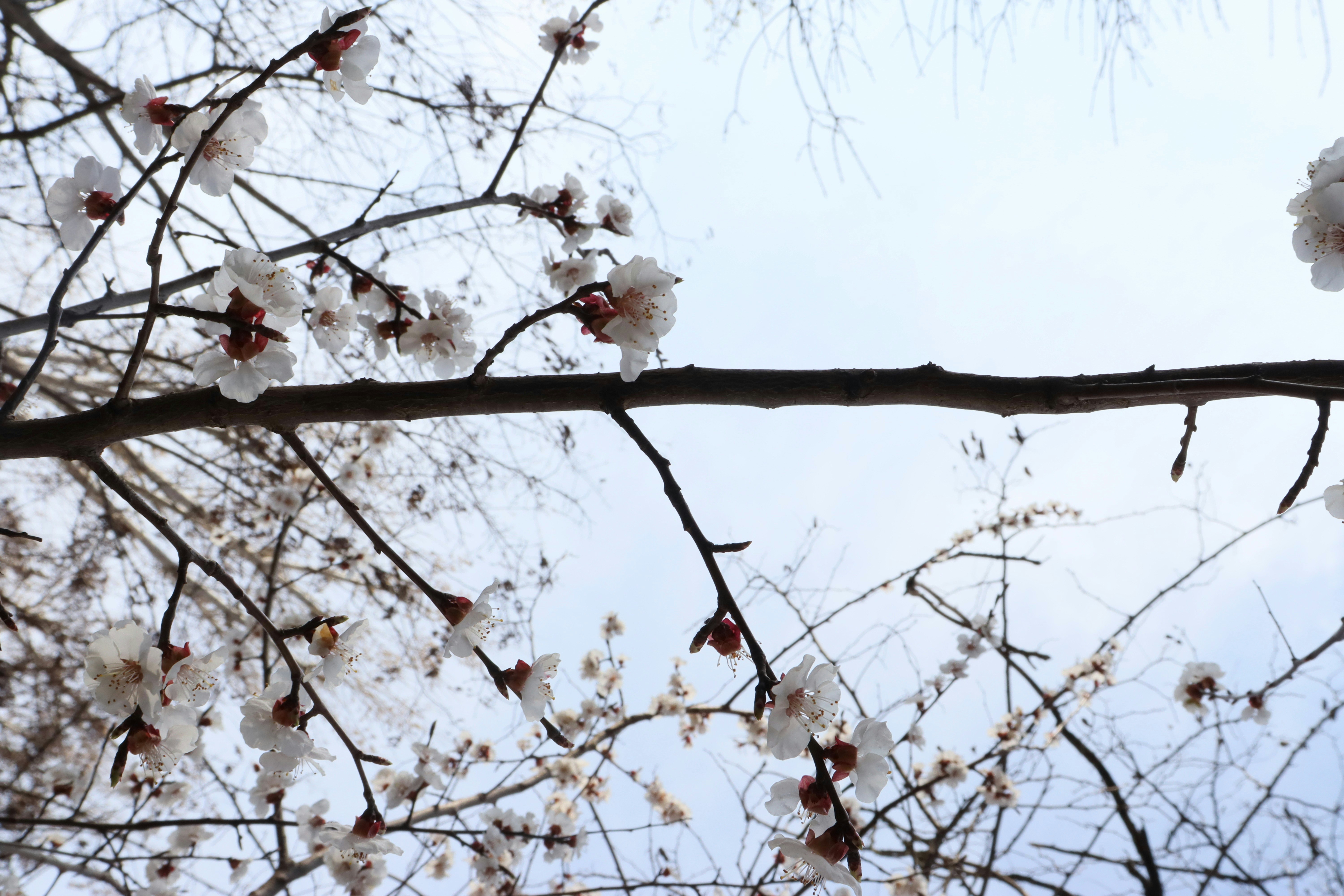 Photo by bored_mongoose