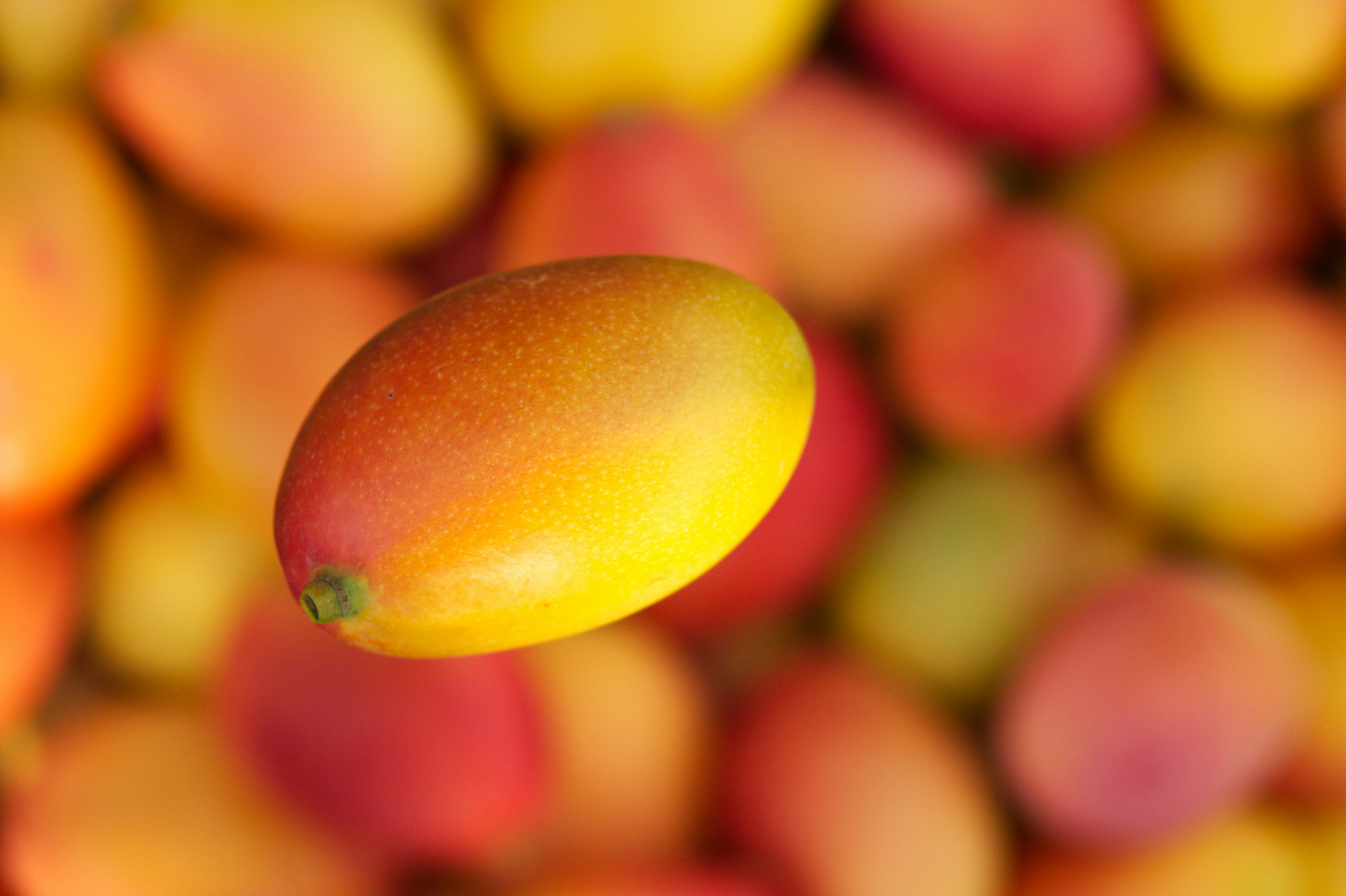 A mango floats above a pile of other mangoes.