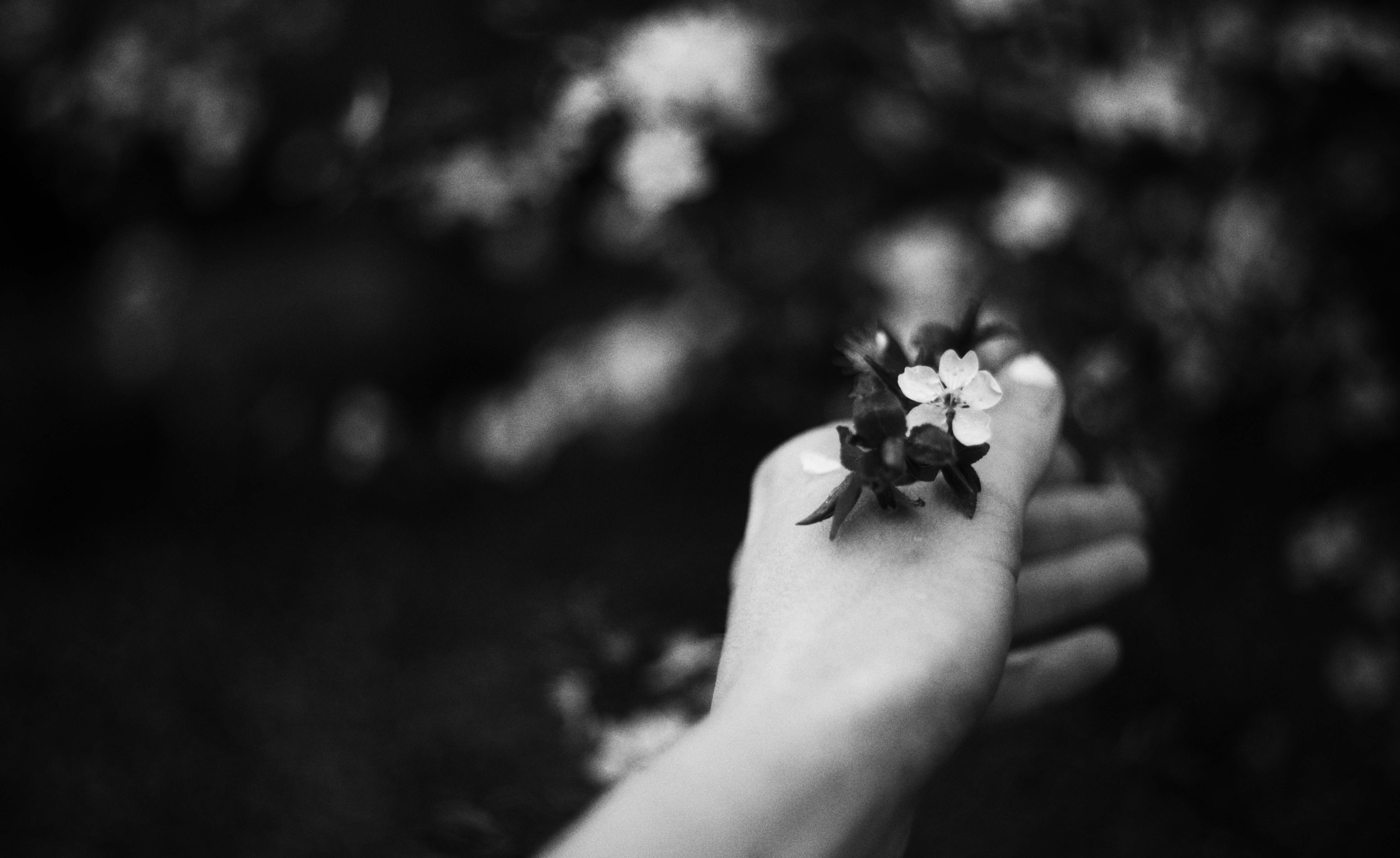 Photo by cherstve_pechivo