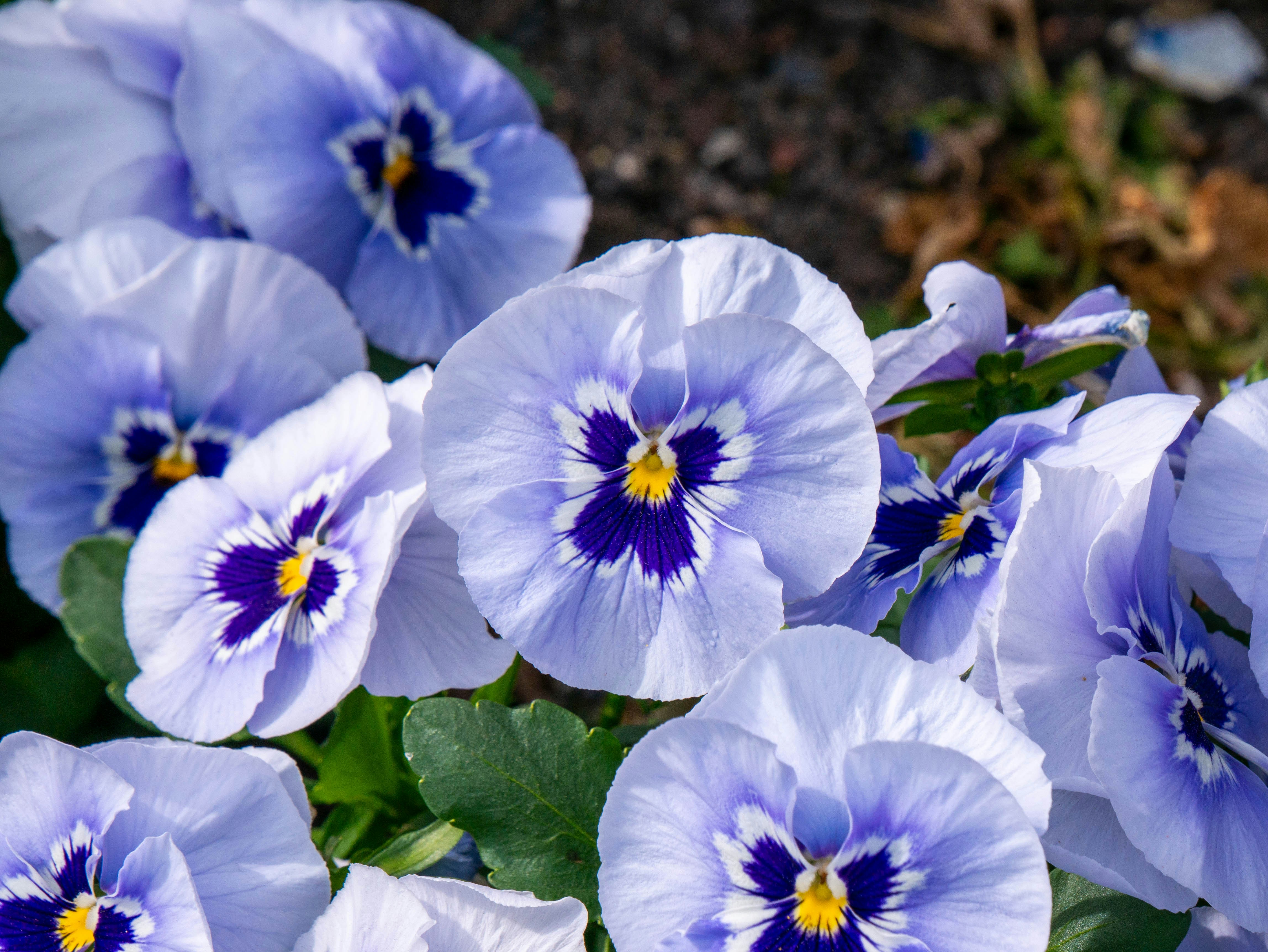 Photo by jameskitt616