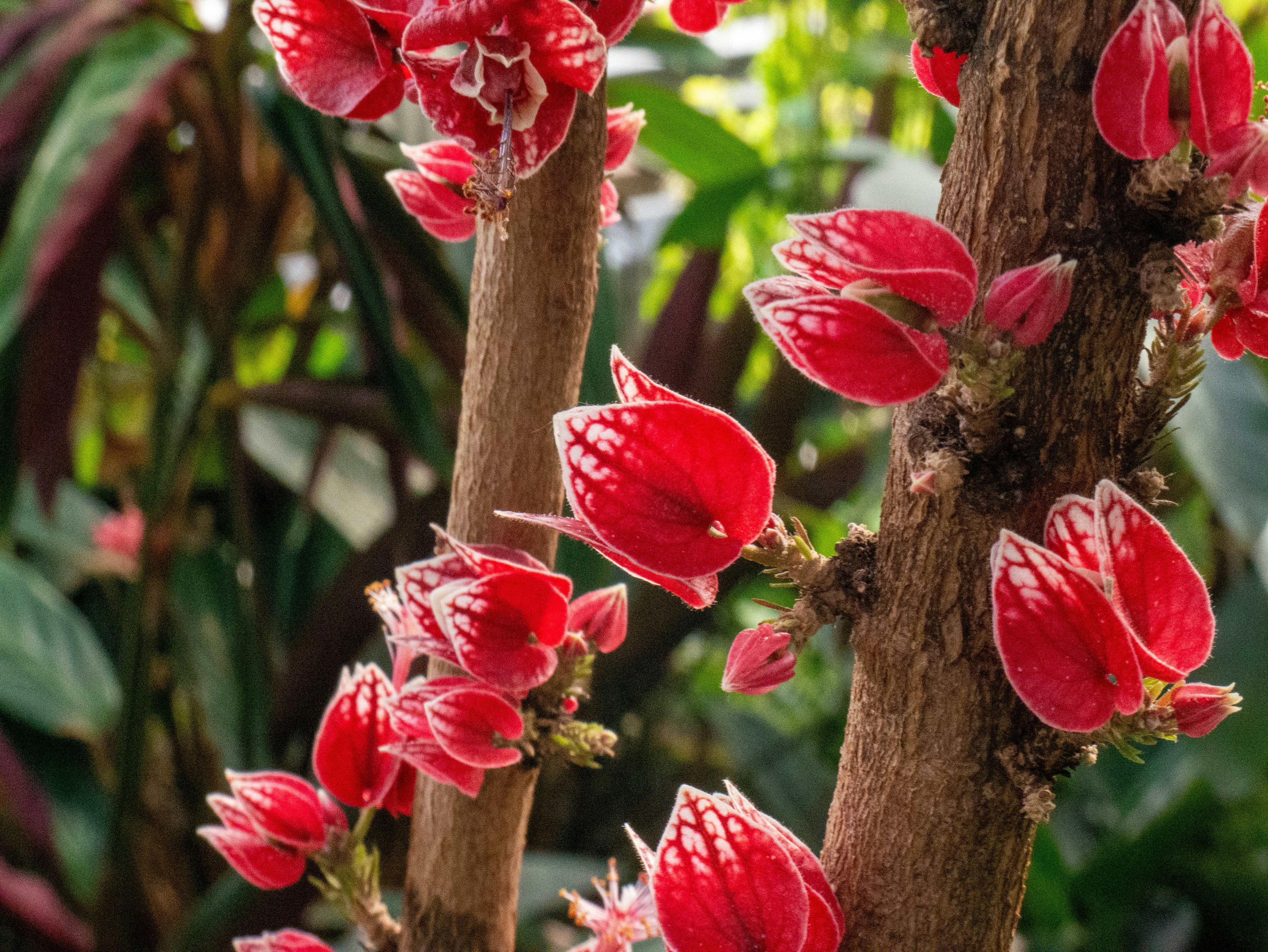 Photo by jameskitt616