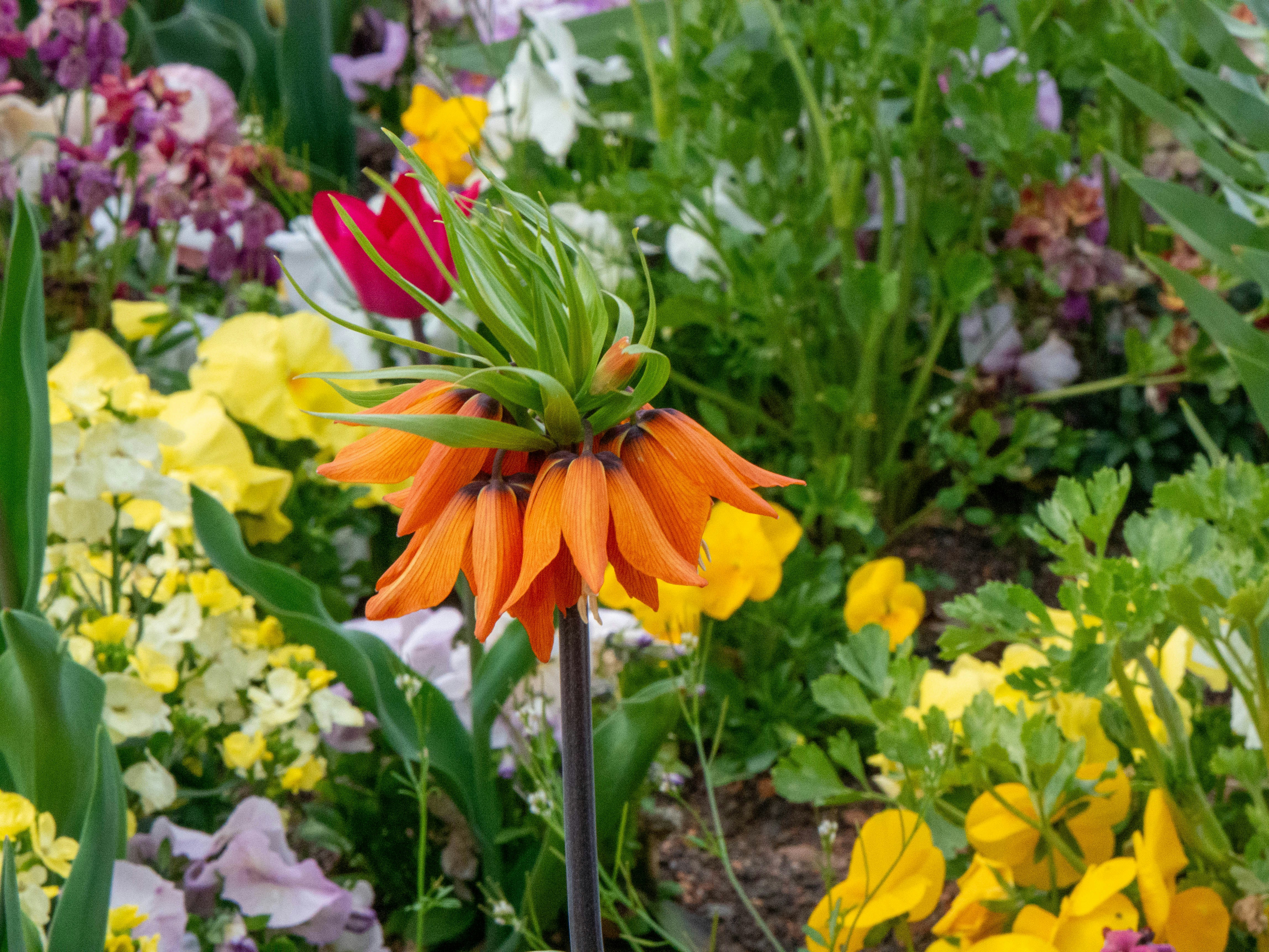 Photo by jameskitt616