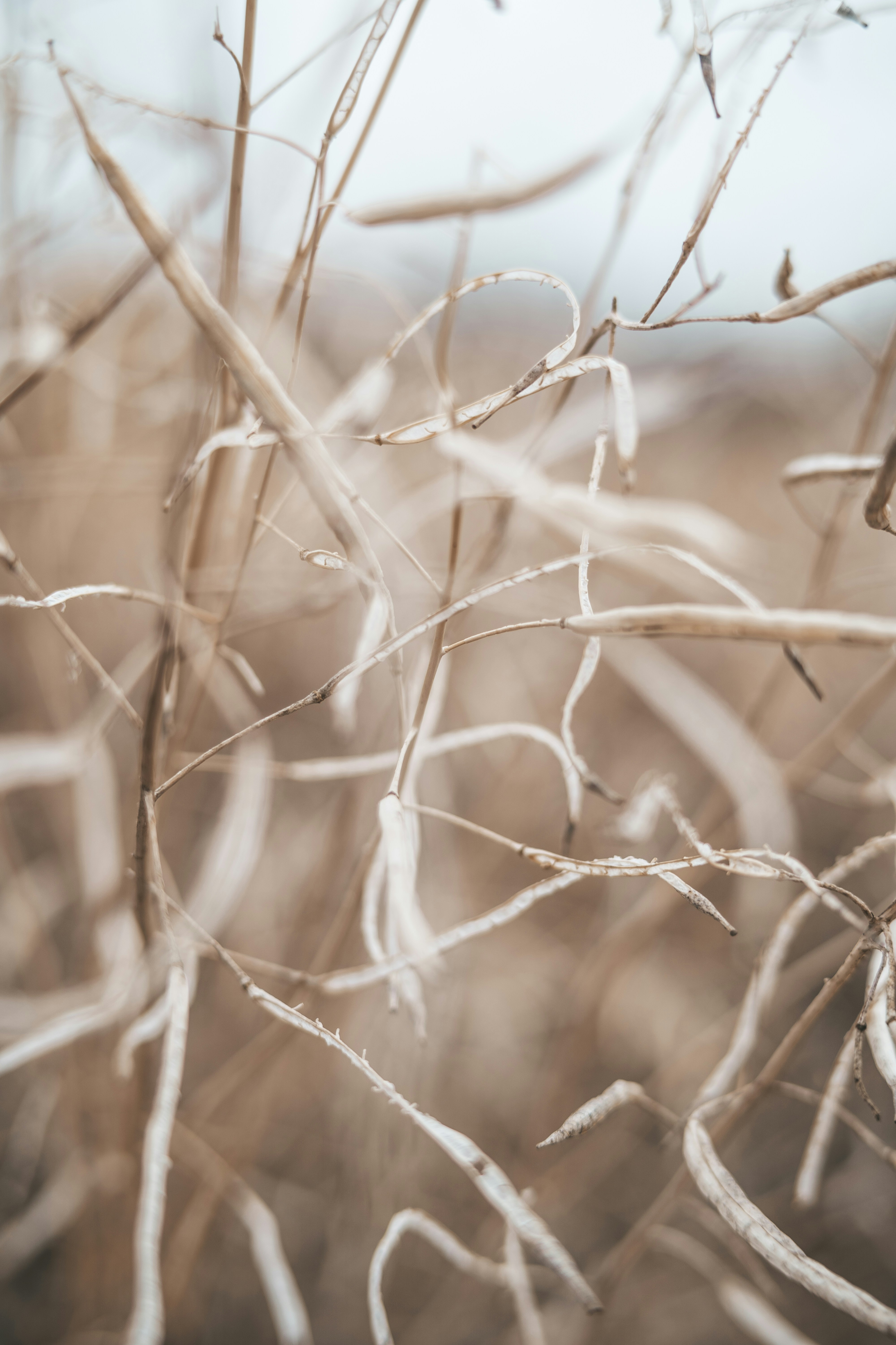 Photo by anamnesis33