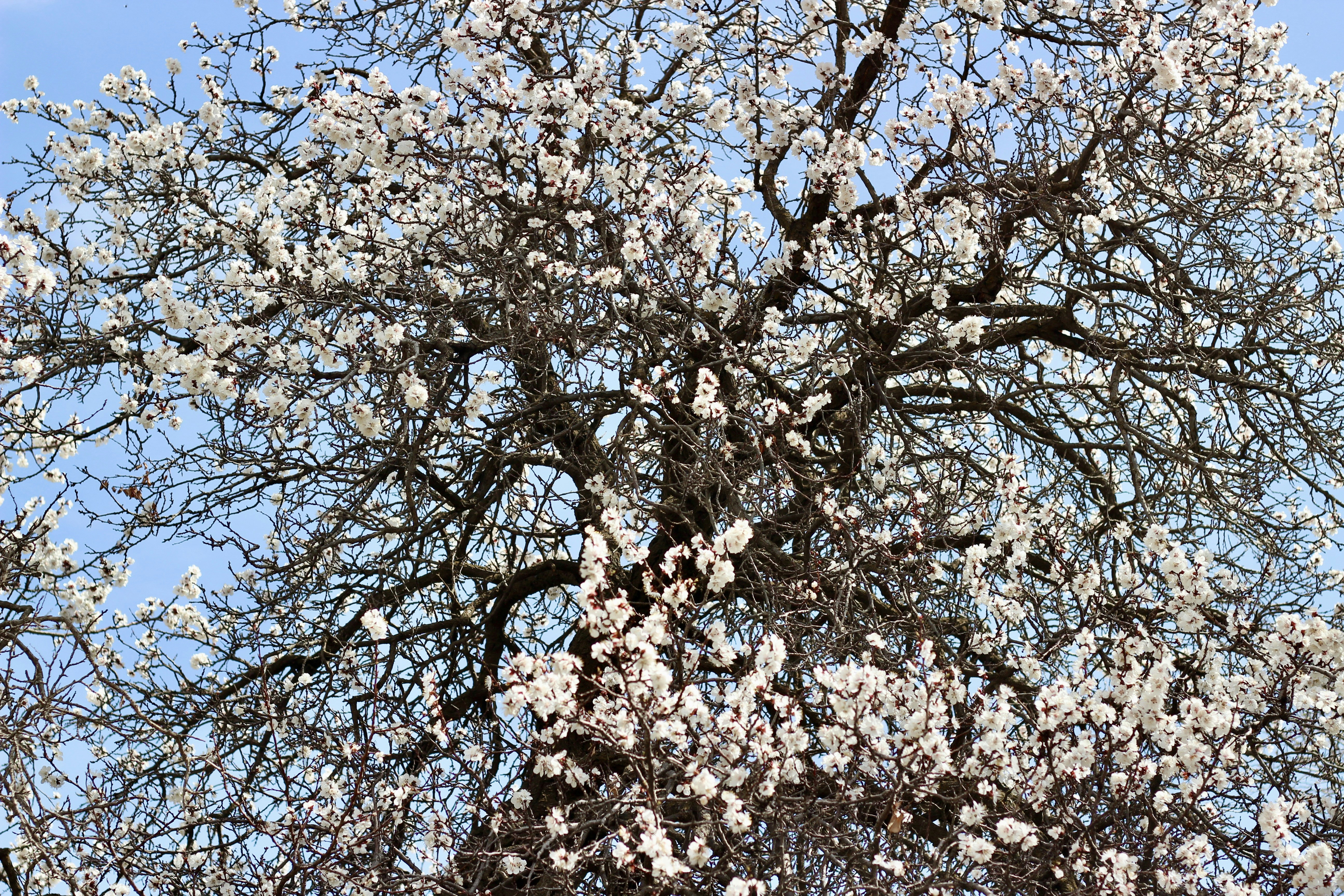 Photo by shimabadakhshan