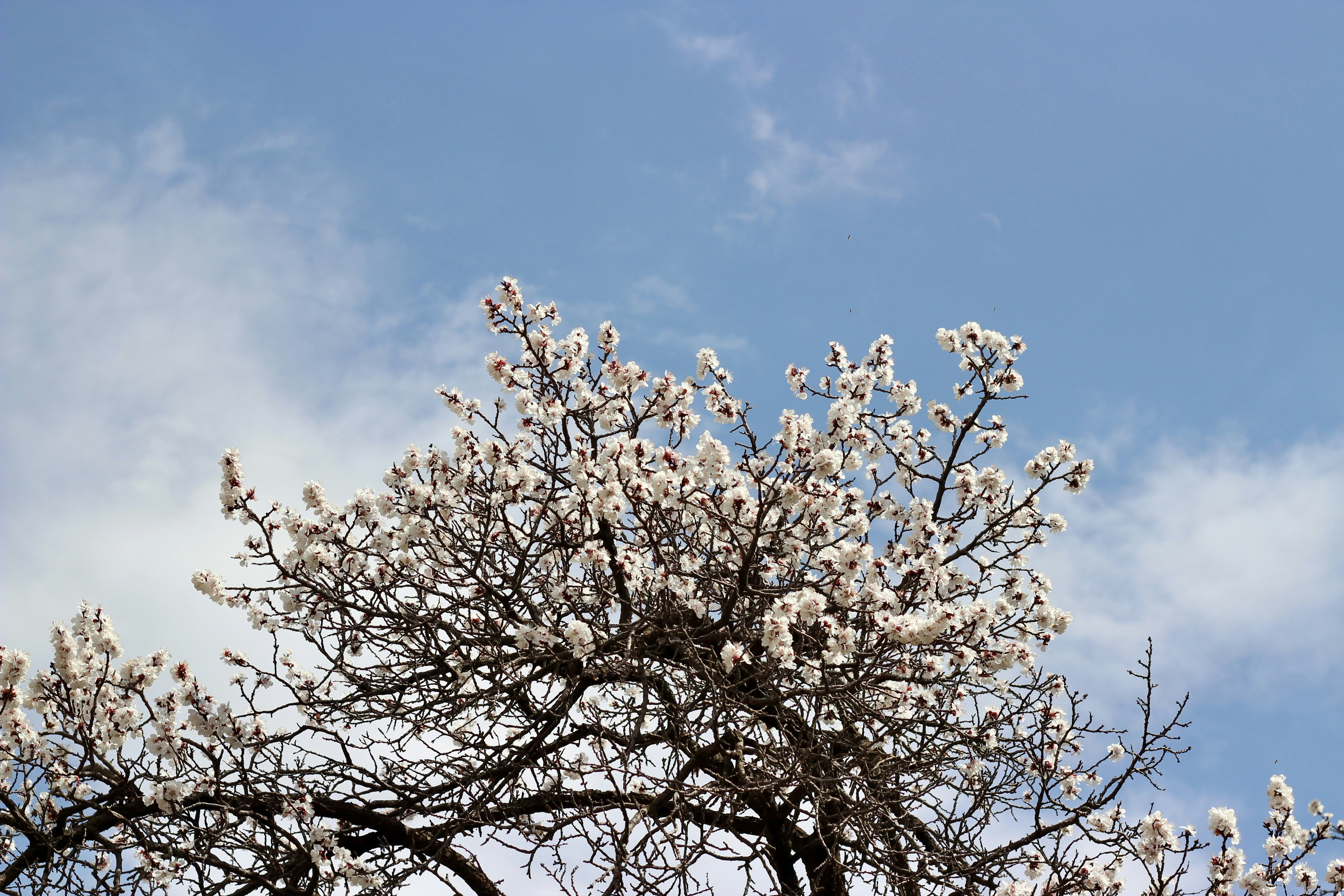 Photo by shimabadakhshan