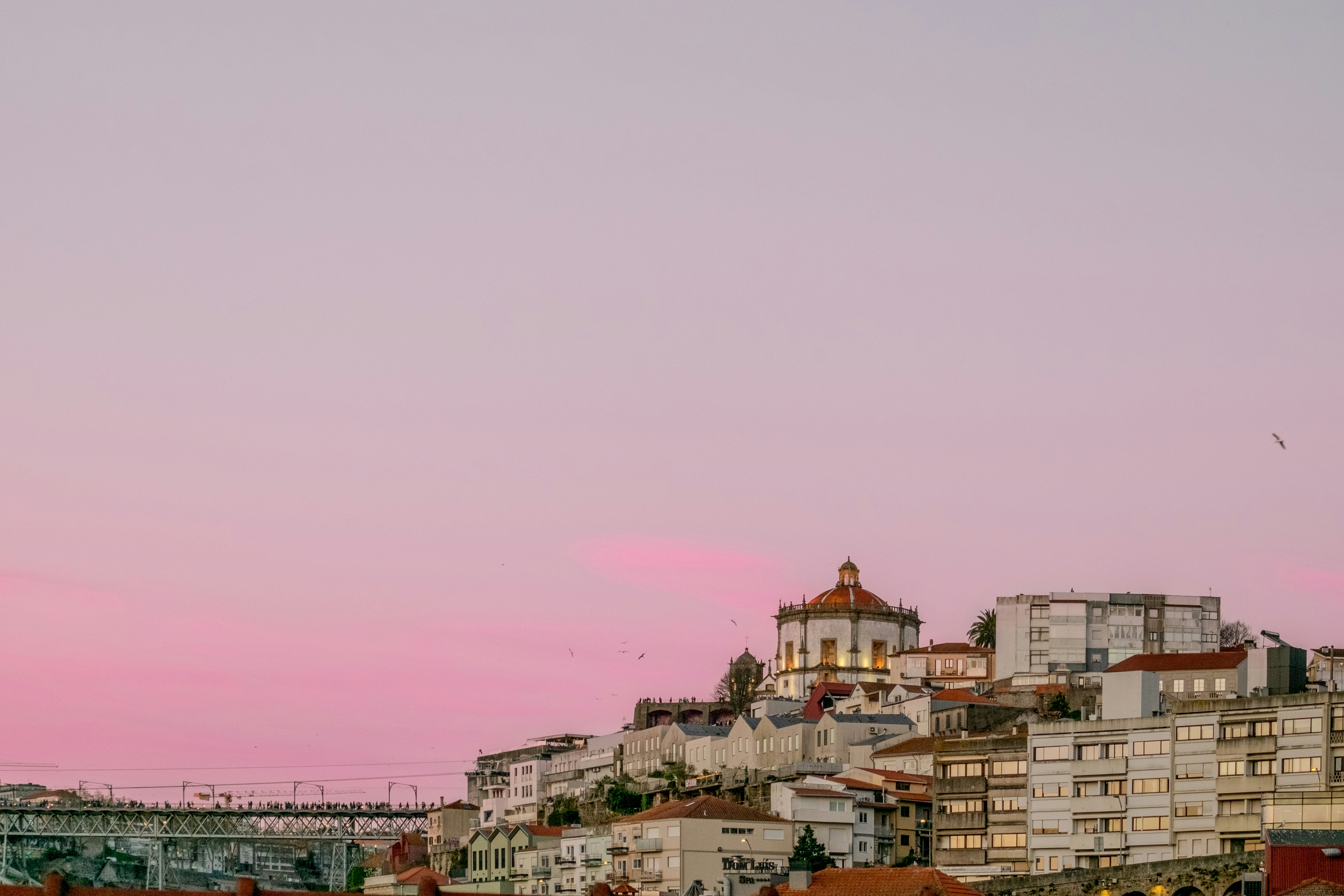 Photo by noelephantsflying