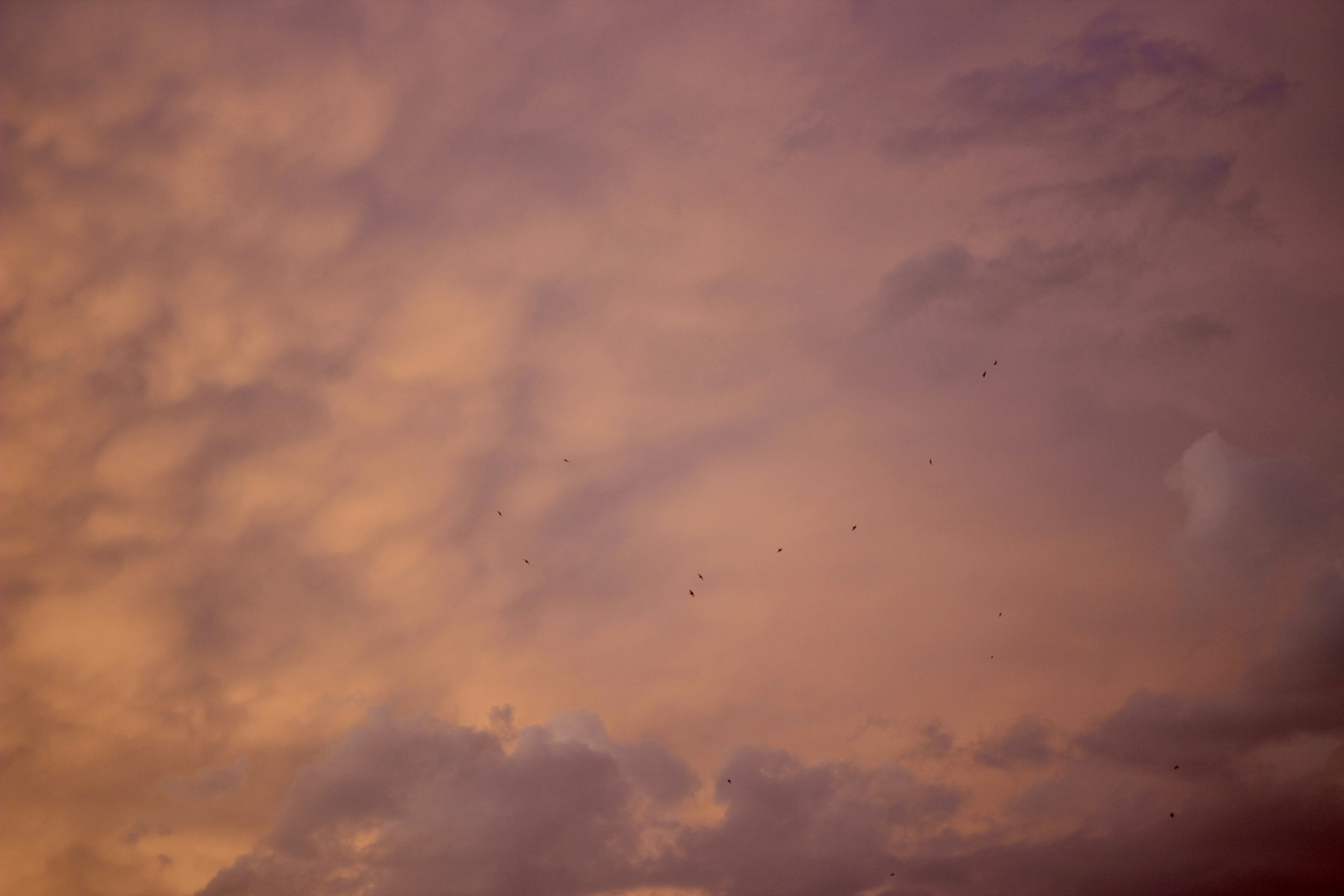 Photo by shimabadakhshan