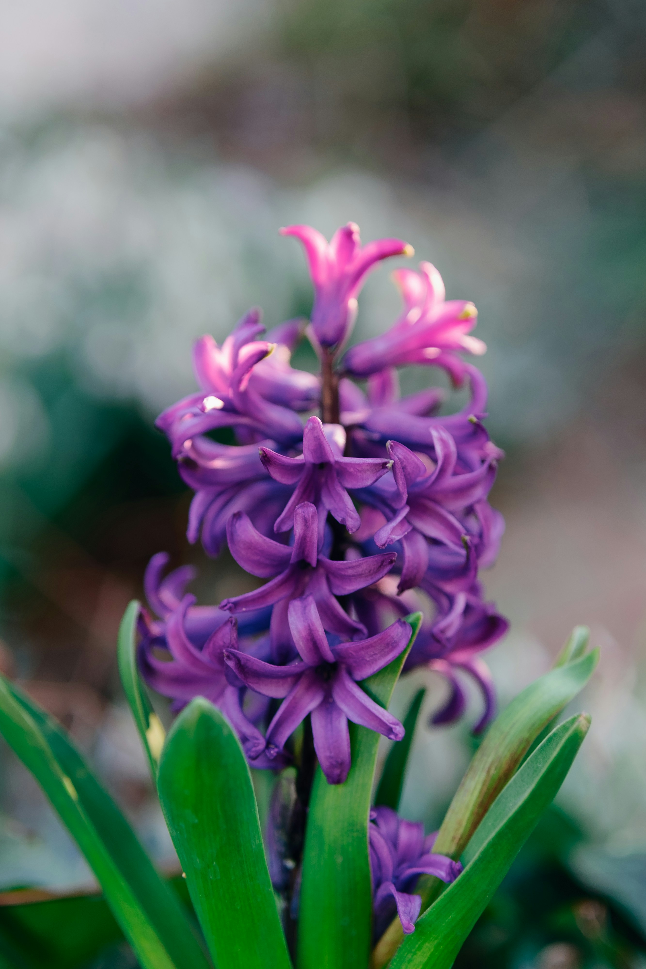 Photo by markuswinkler