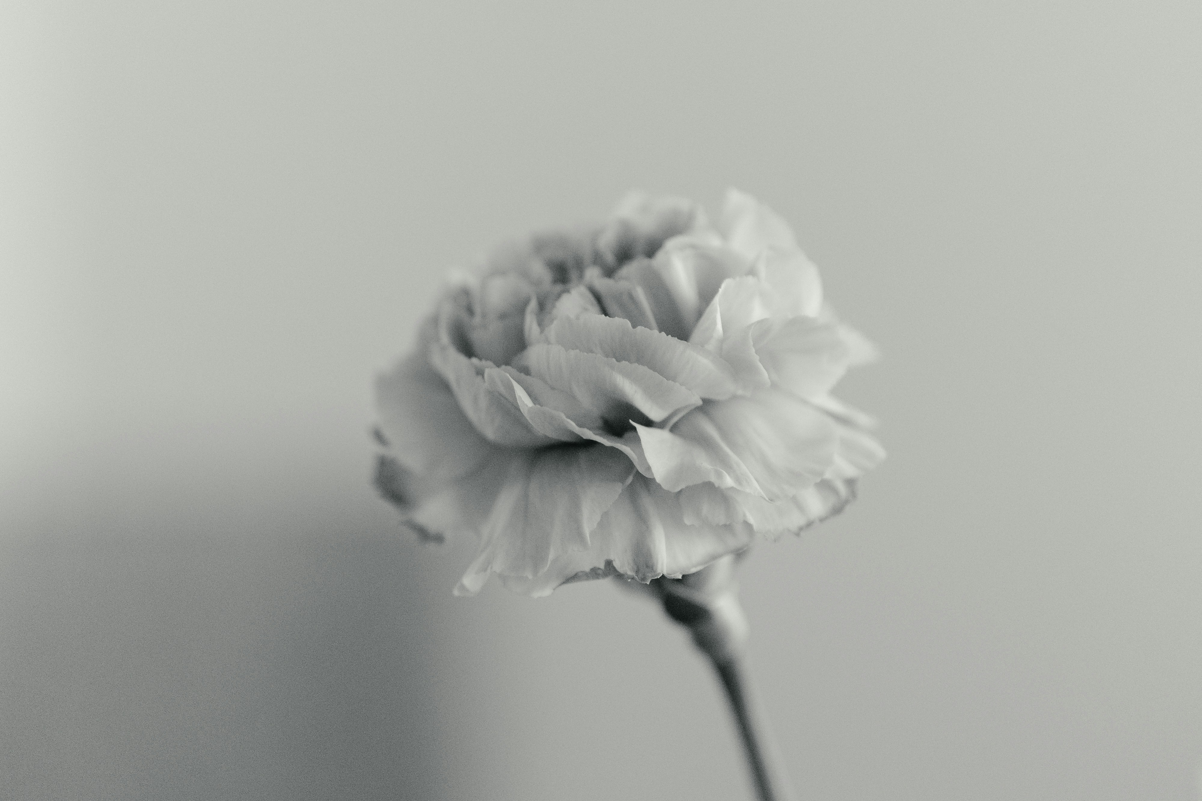 Photo by markuswinkler