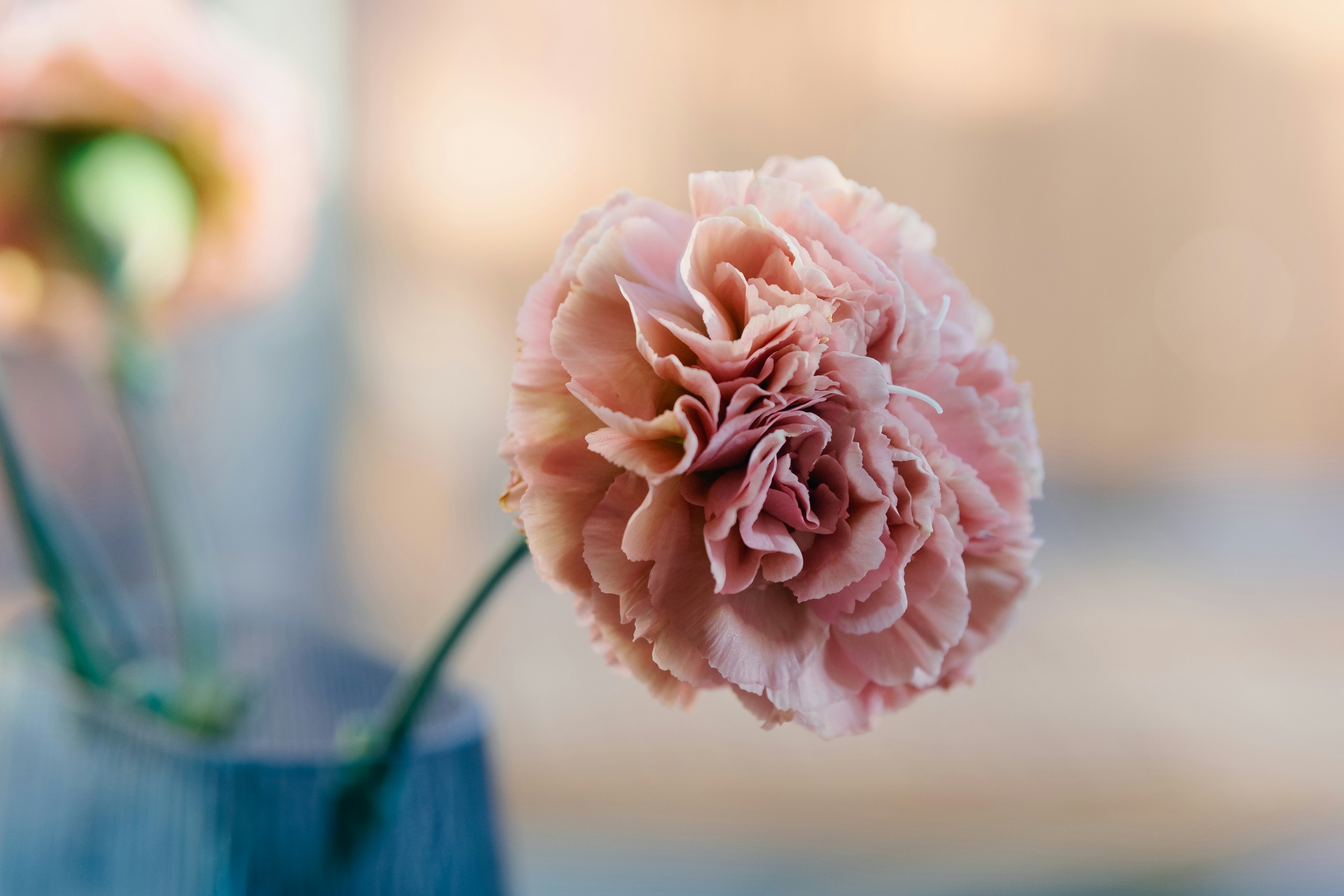 Photo by markuswinkler