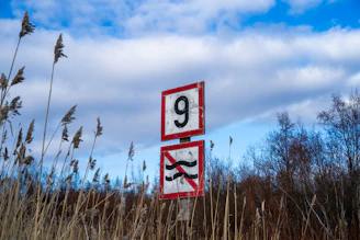 A sign shows number nine and no swimming.