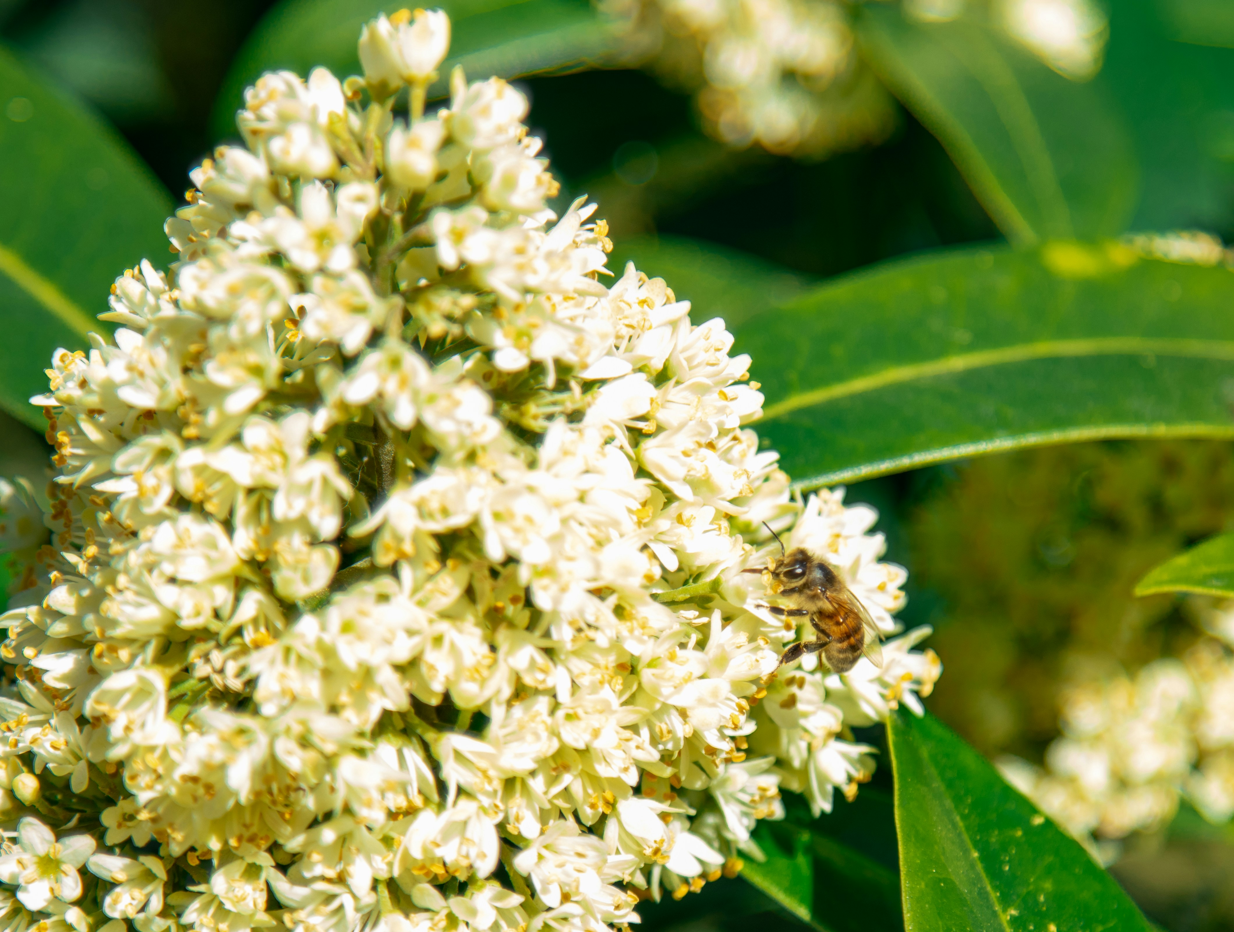 Photo by scottsalchemy