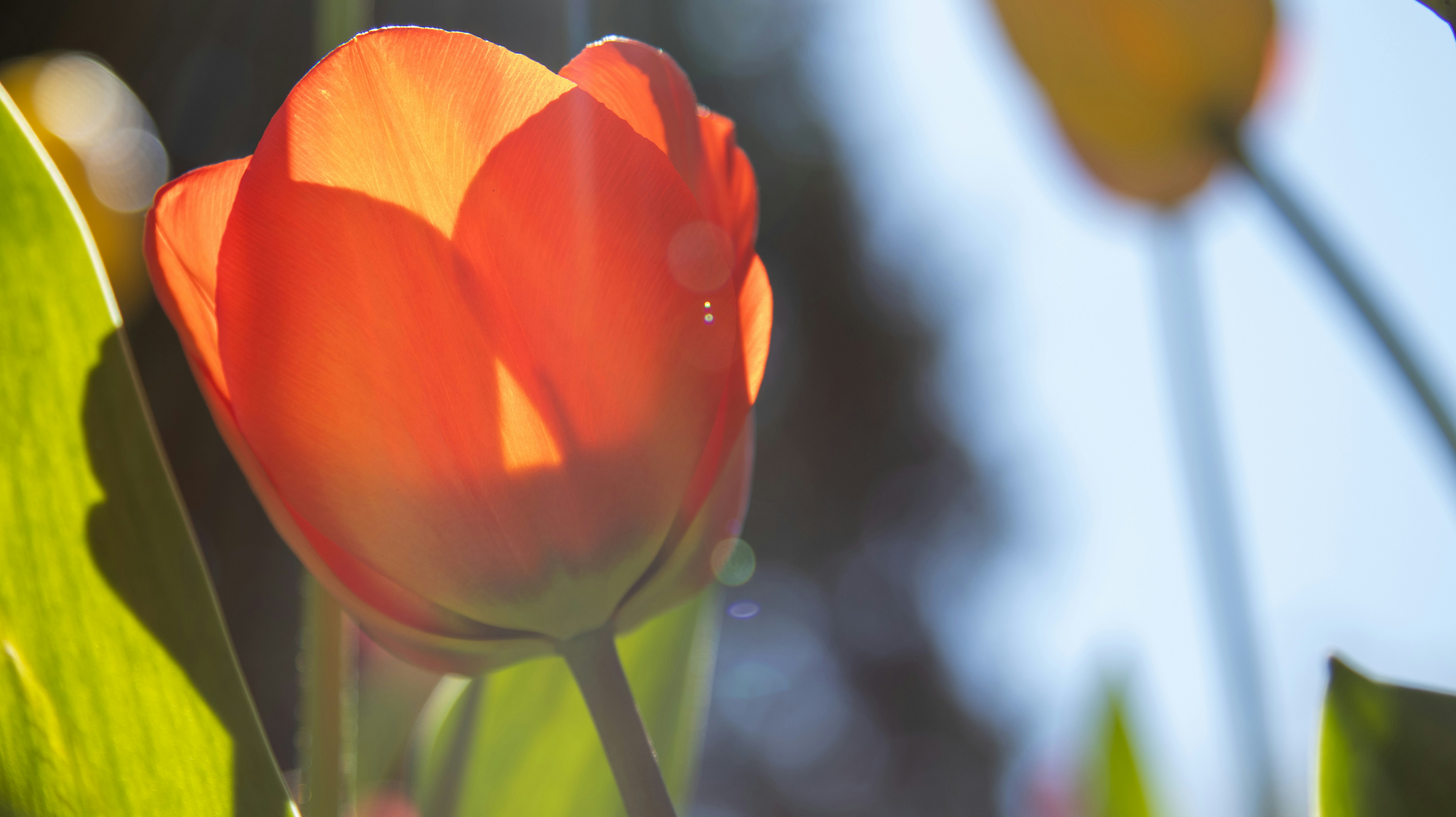 Photo by scottsalchemy