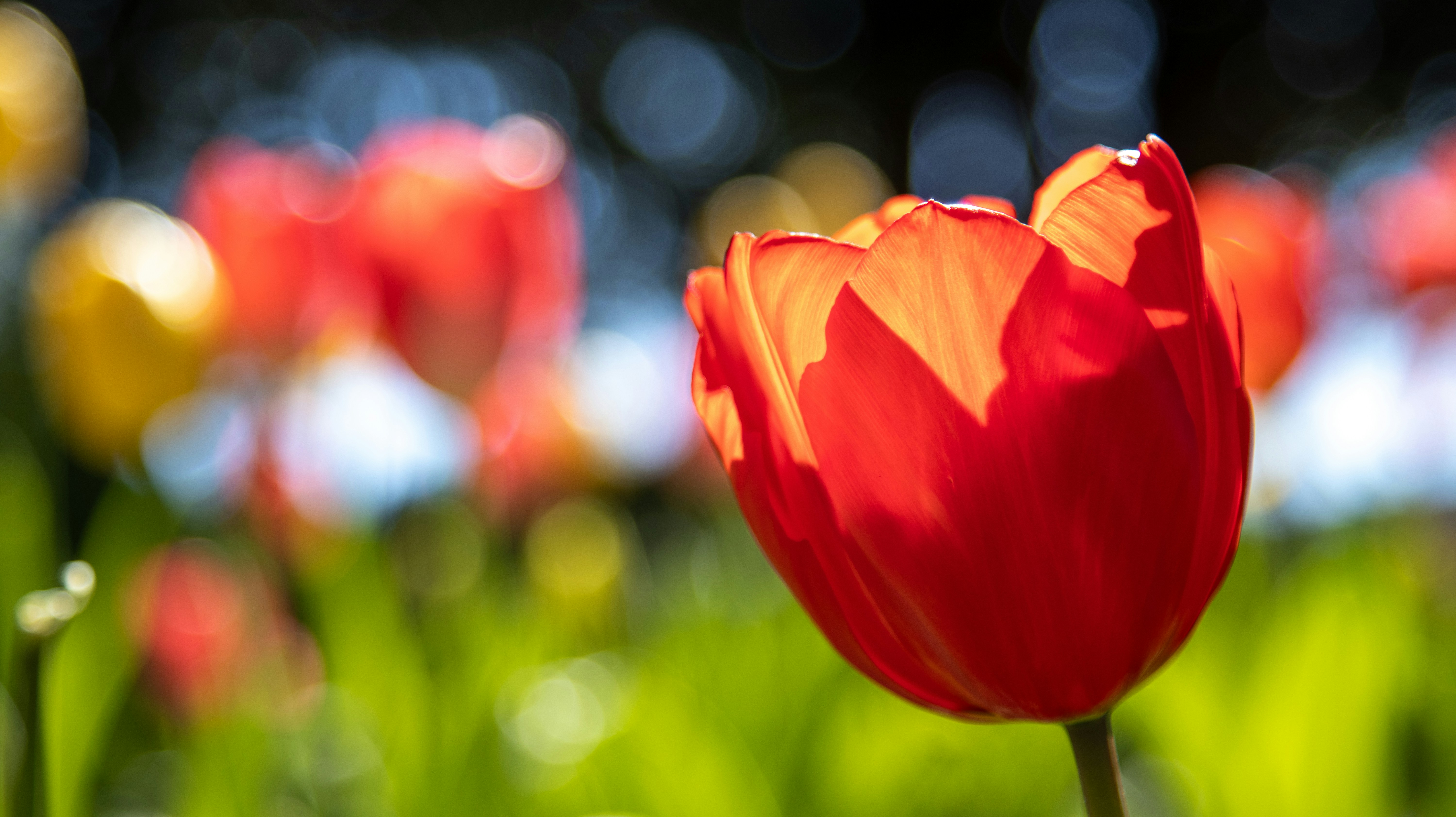 Photo by scottsalchemy