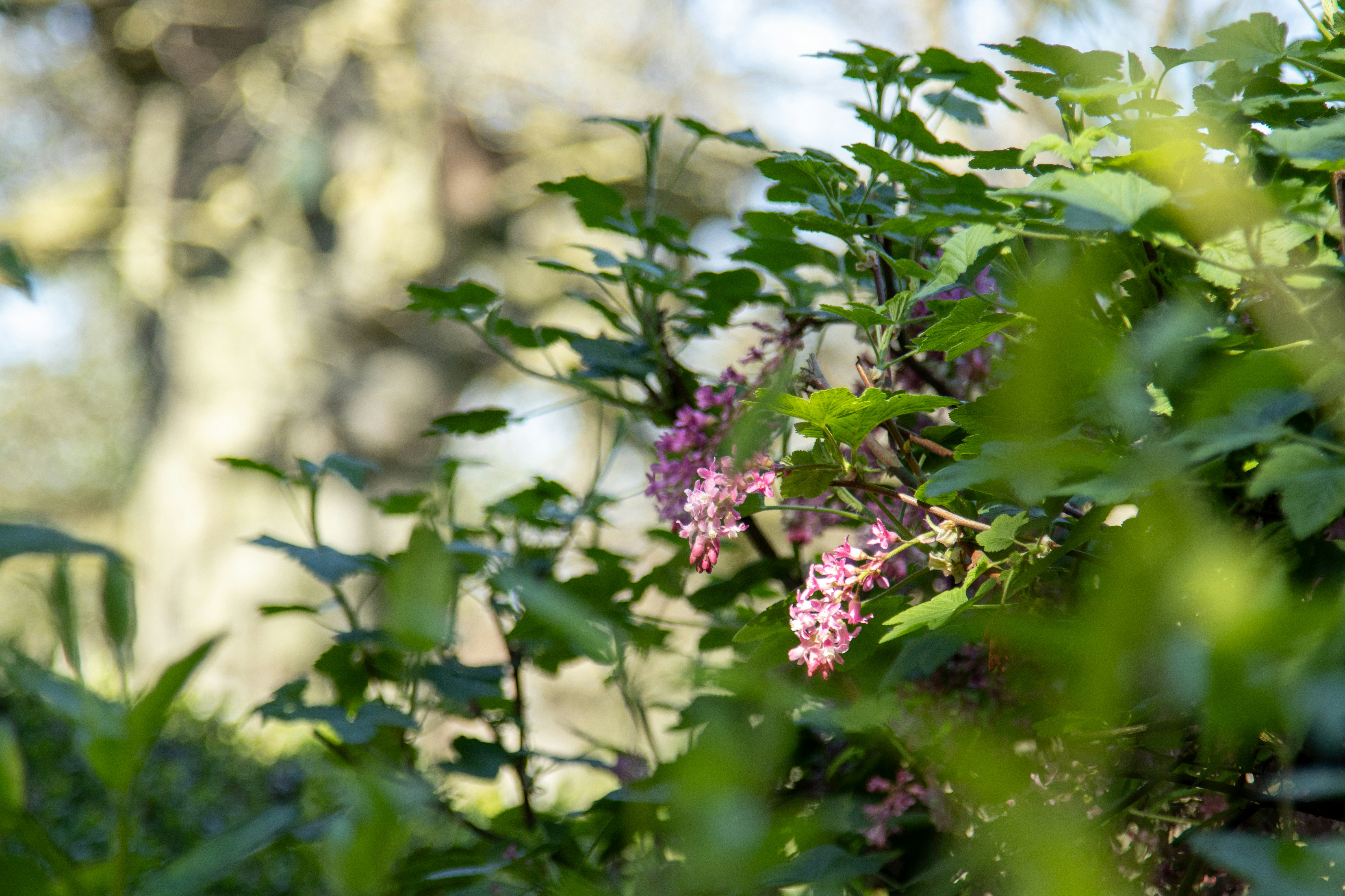 Photo by scottsalchemy