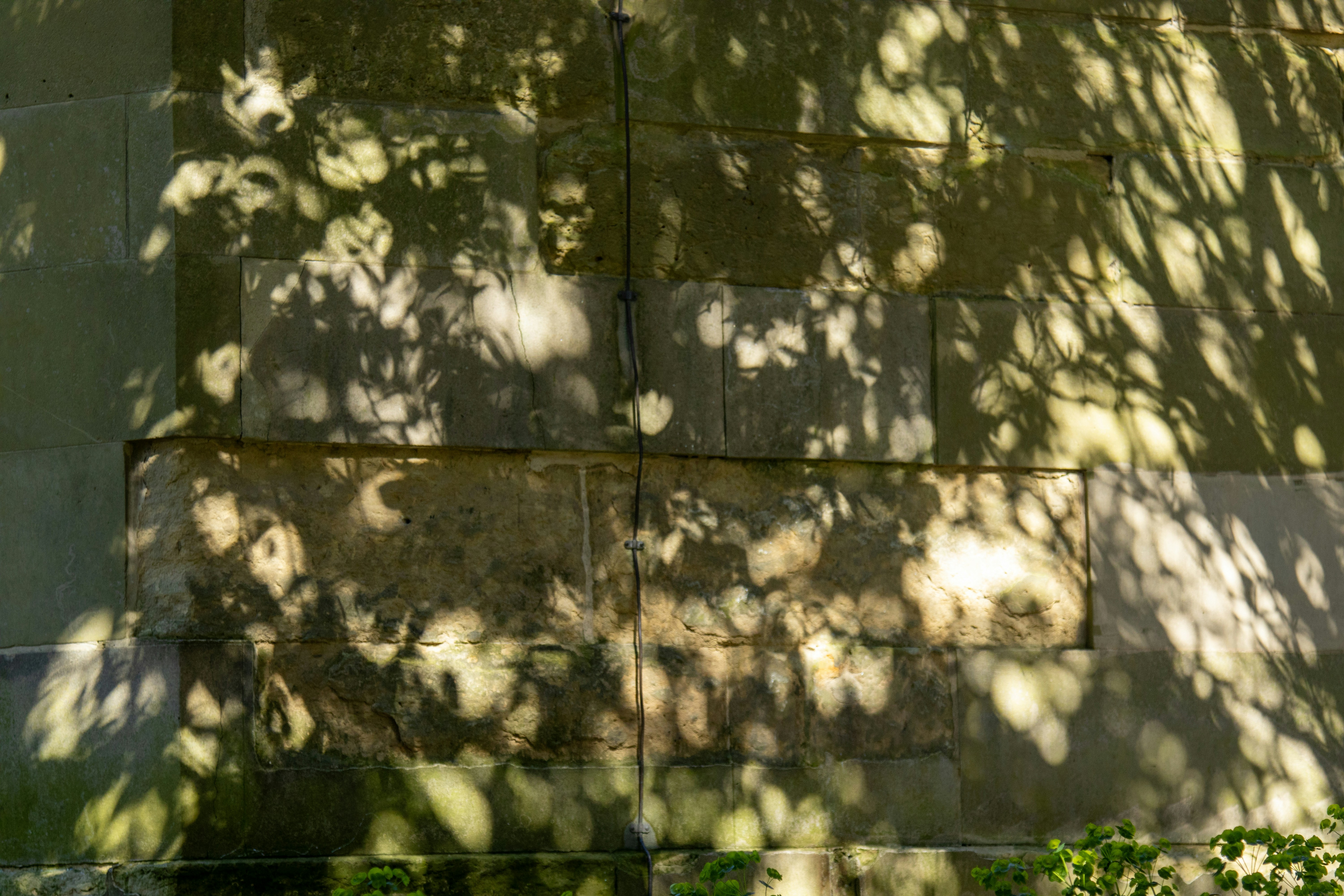 Photo by scottsalchemy