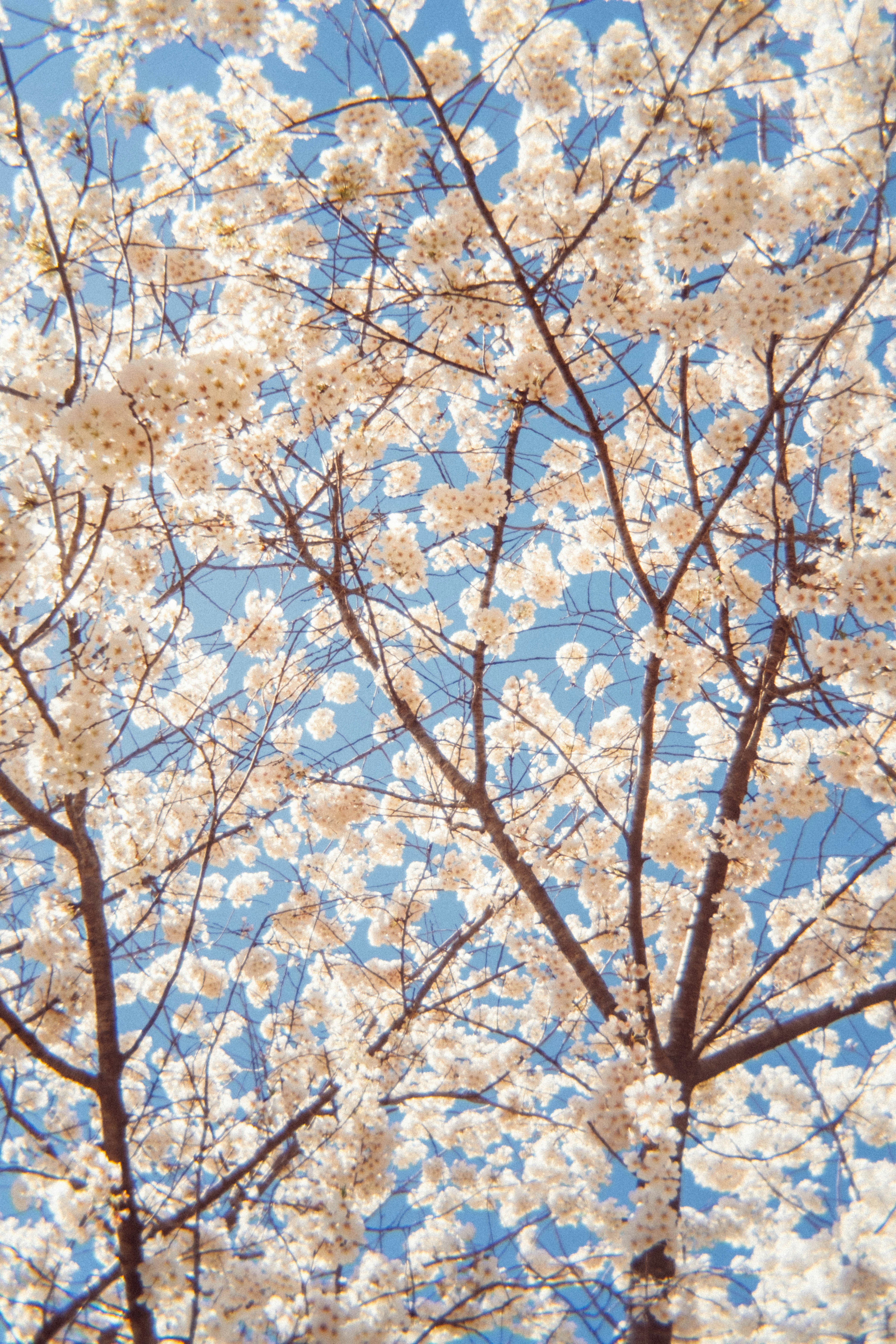 Photo by marsupialpudding