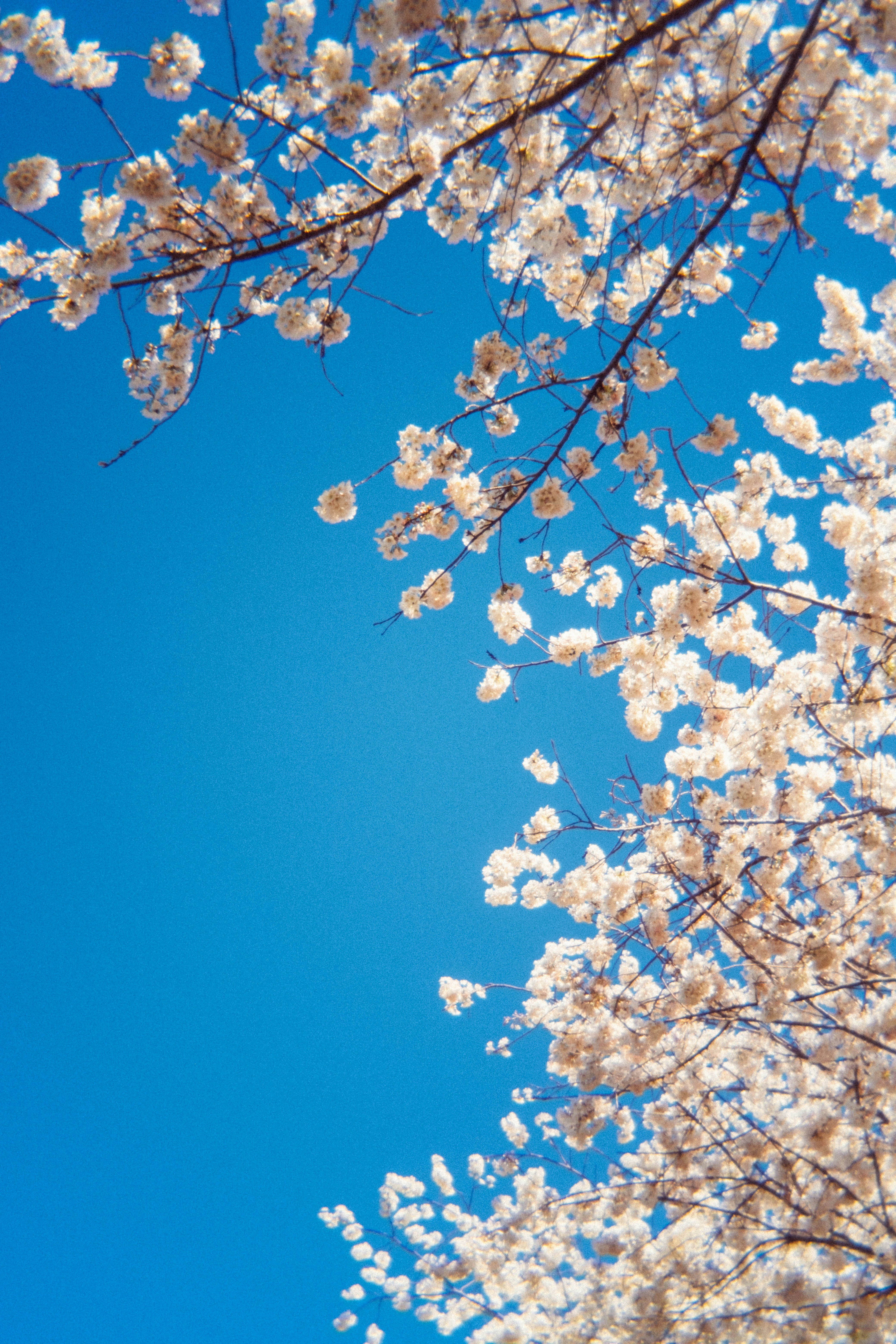 Photo by marsupialpudding