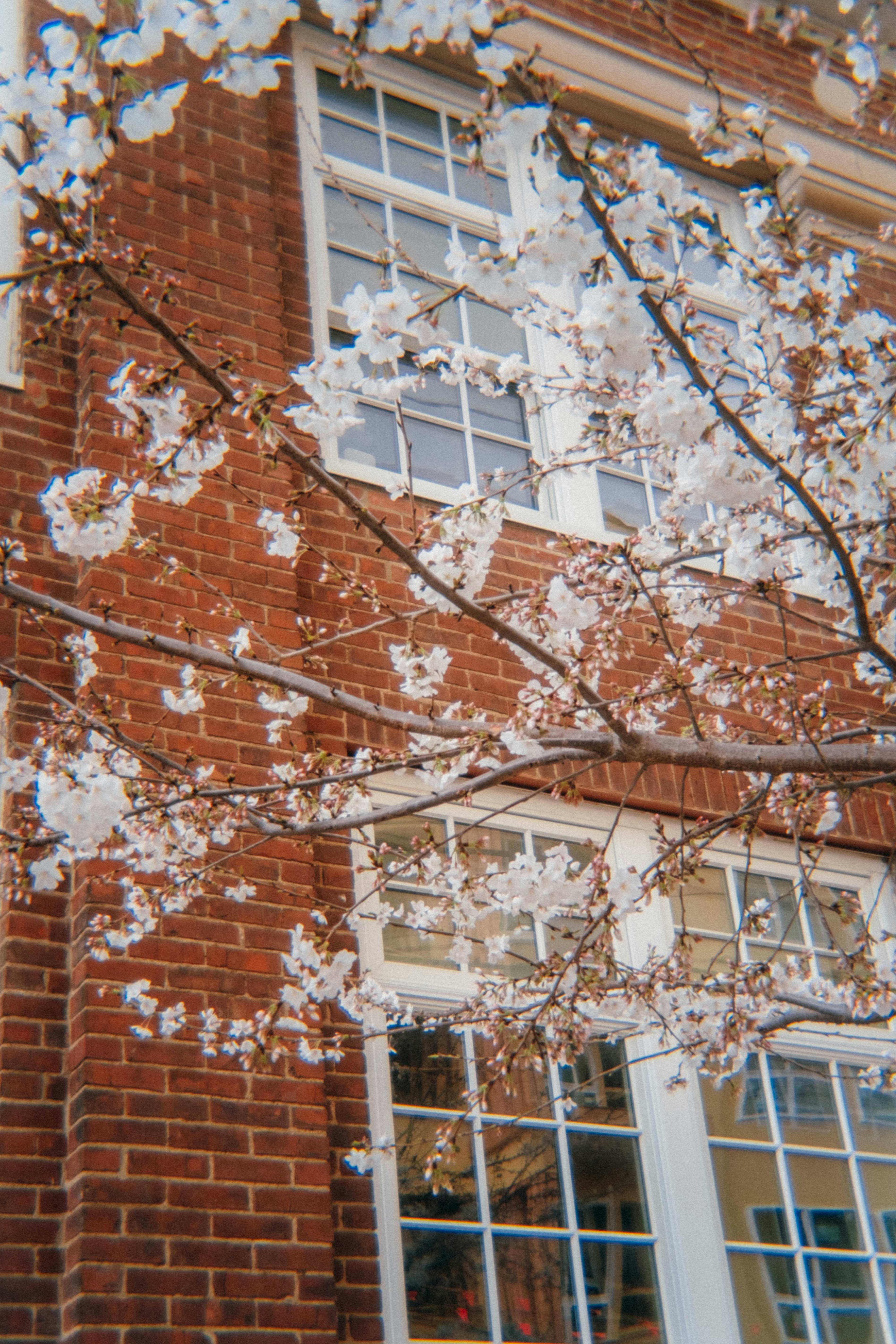 Photo by marsupialpudding