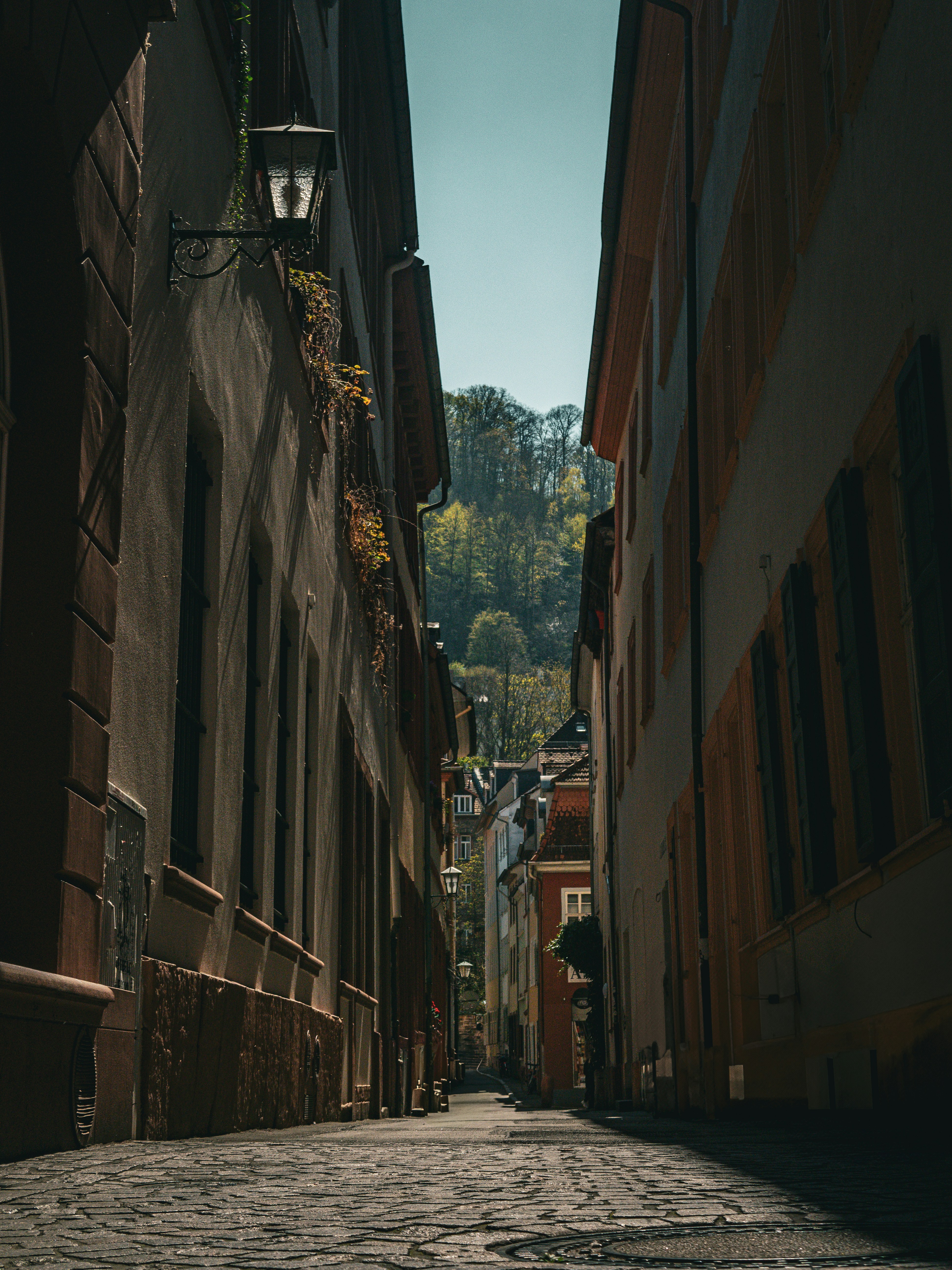 Photo by poli_graphy