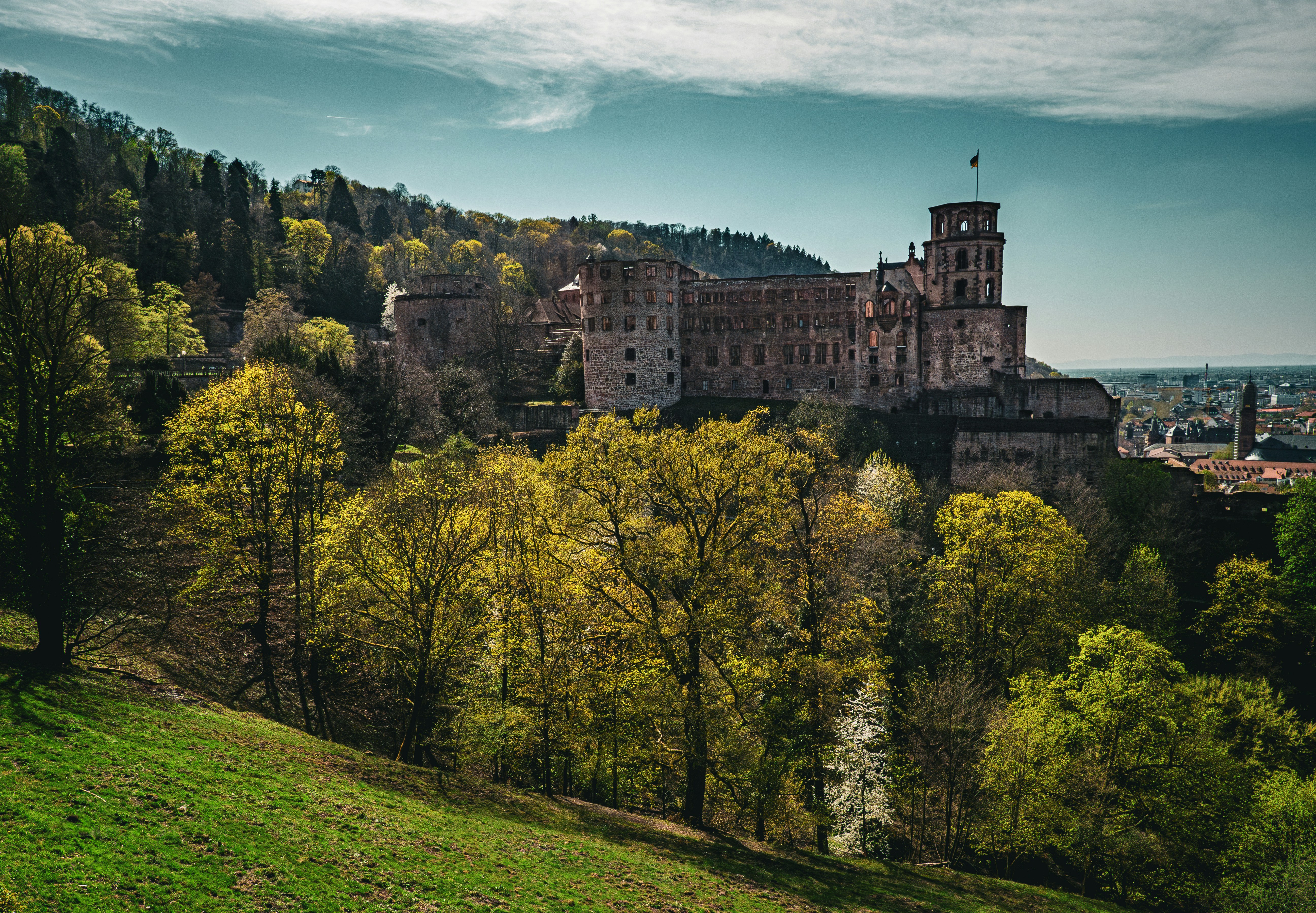 Photo by poli_graphy