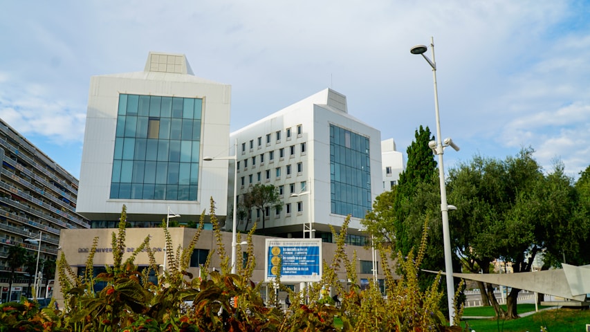 Southern University and AandM College