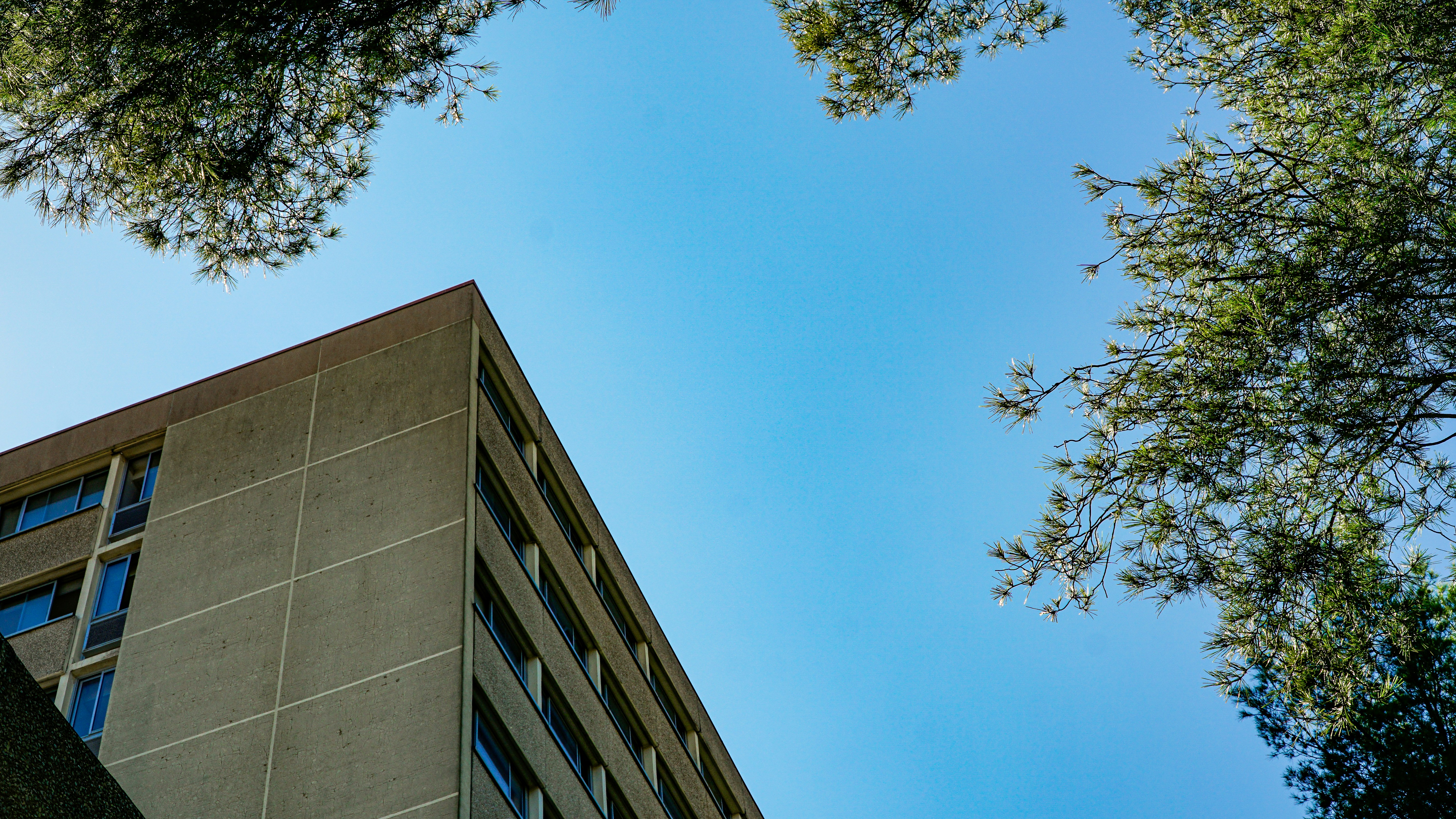 Building and trees frame a bright blue sky.