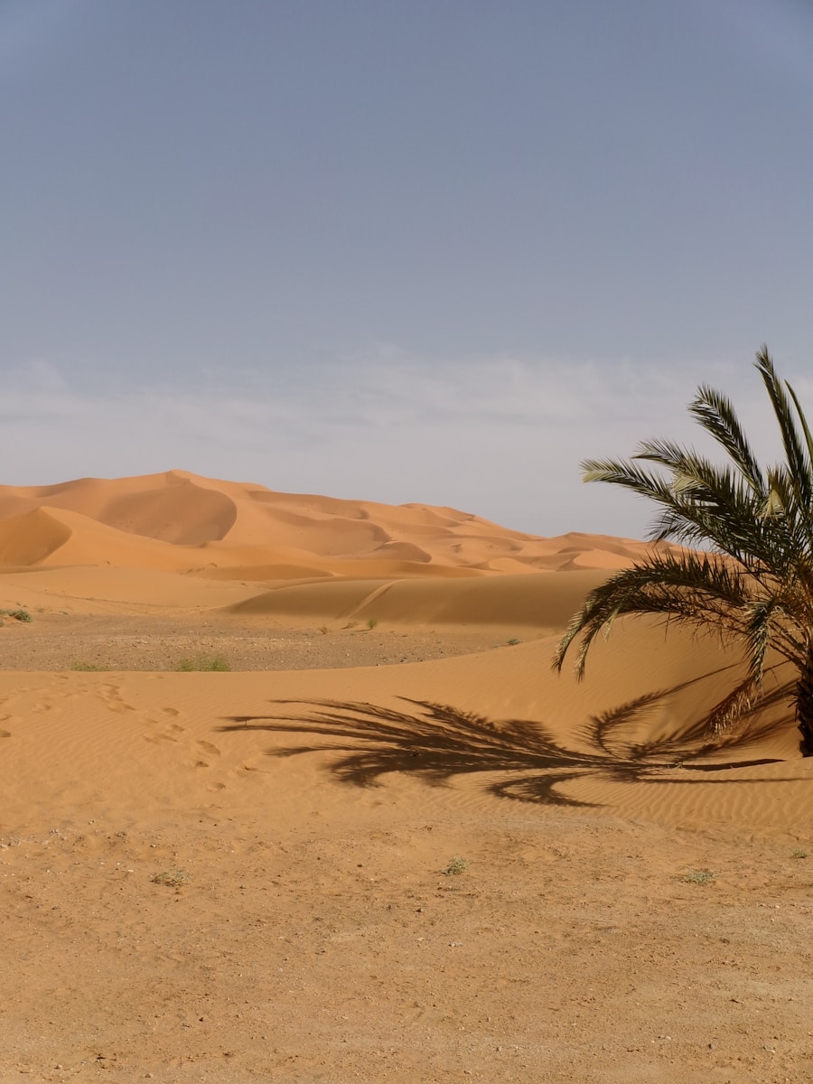 Desert landscape with sand dunes shot on Kodak PIXPRO FZ55 showing warm vintage tones