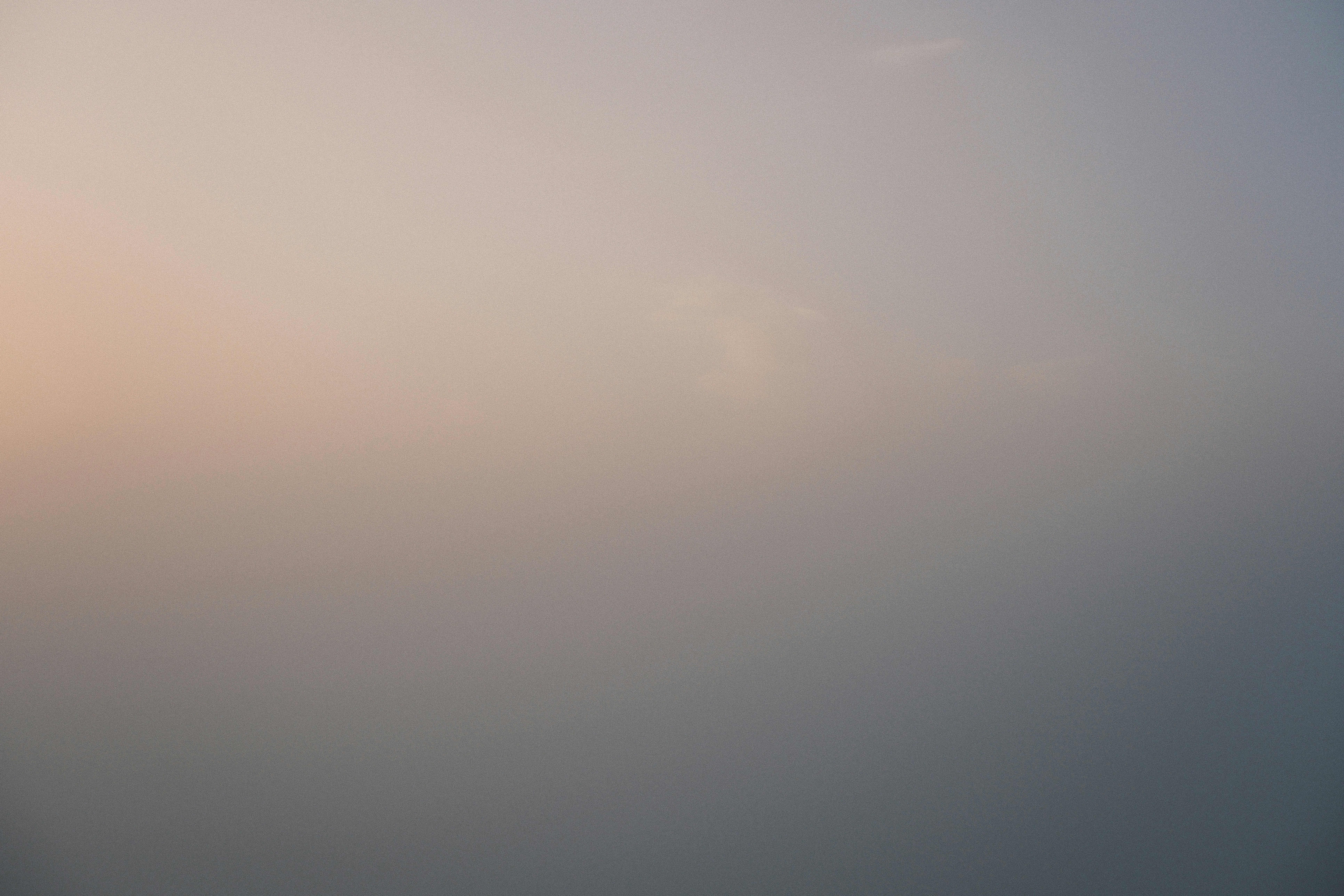 Photo by studiopizza