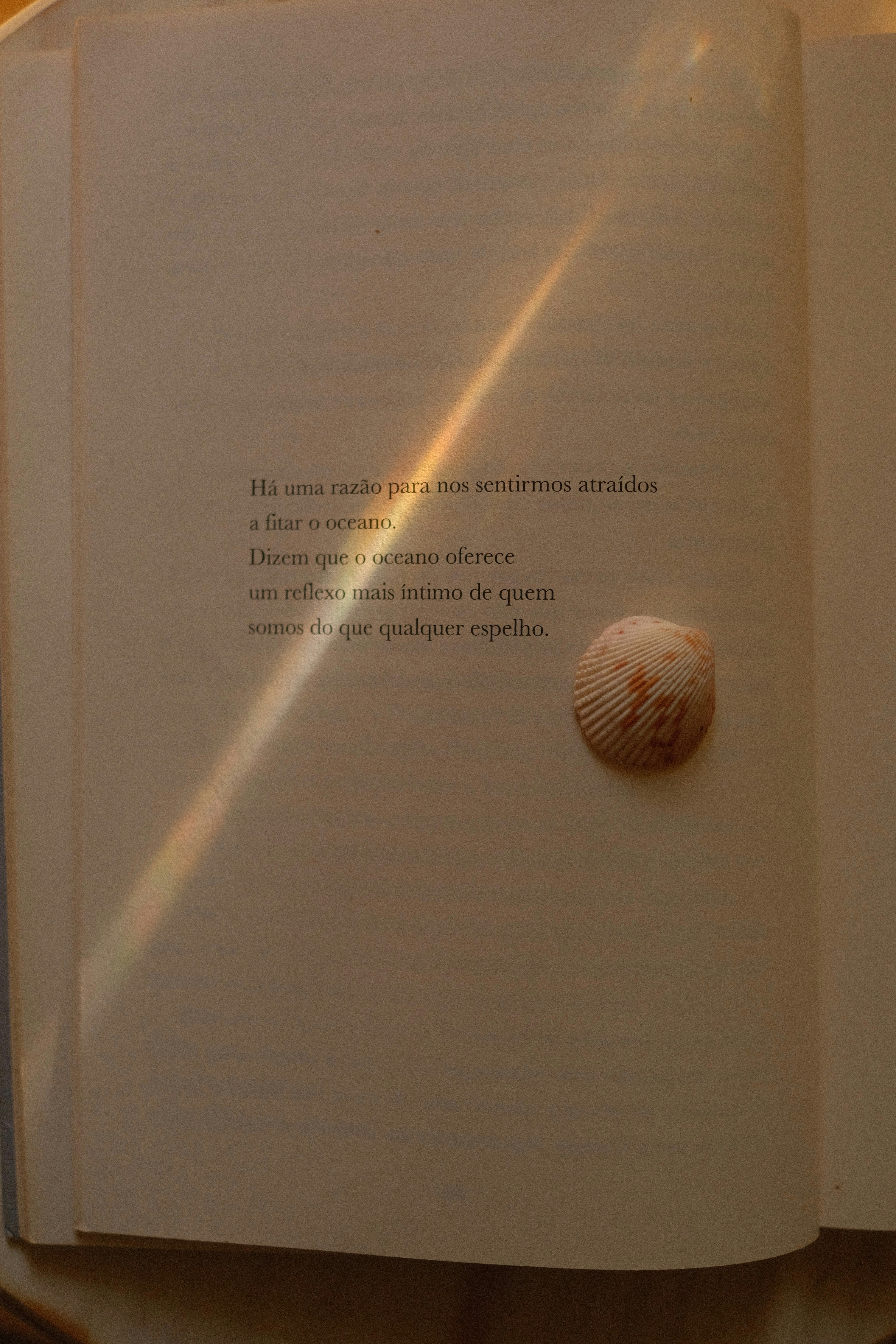 An open book with text and a seashell.