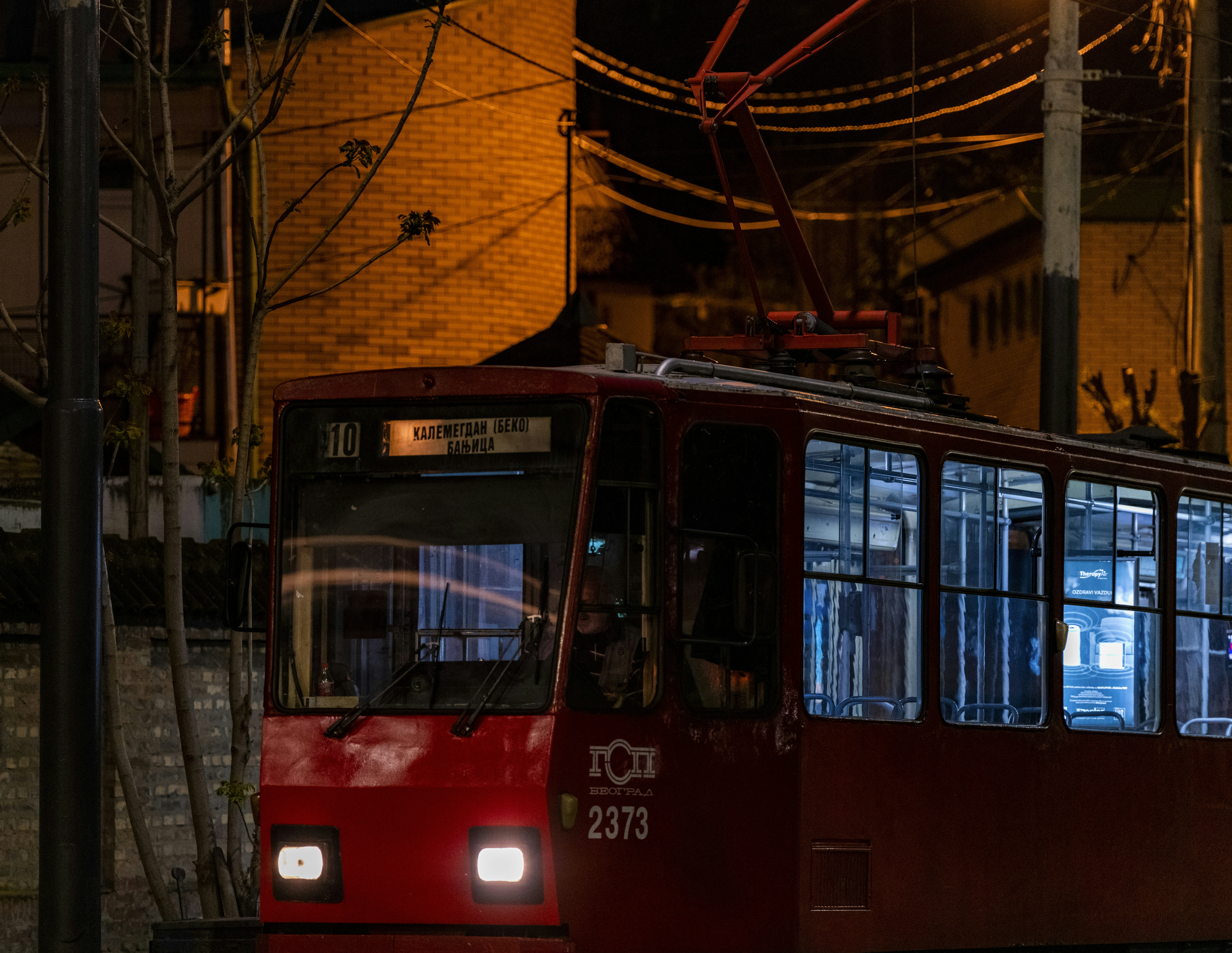Photo by sb_dn