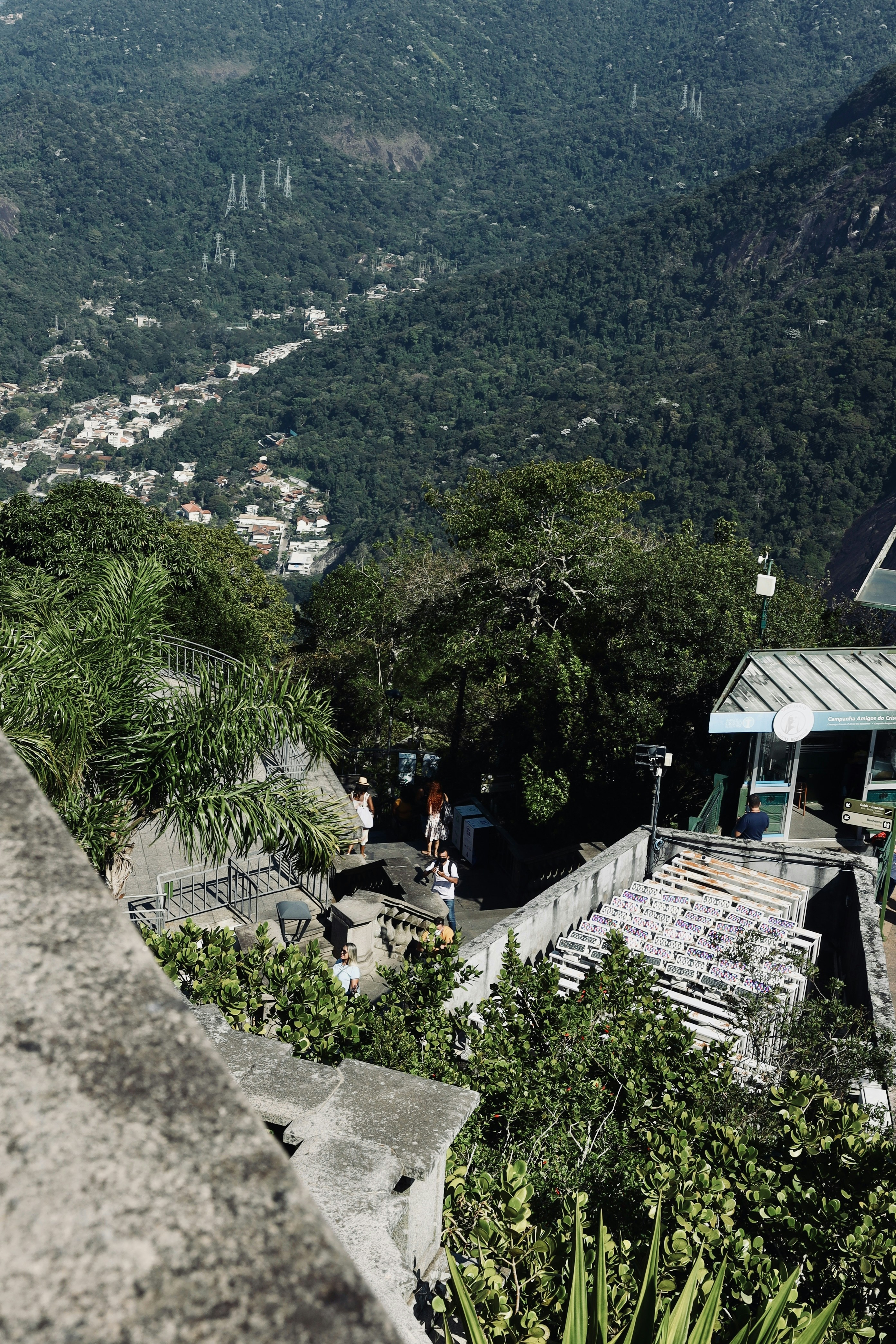 A scenic view of a lush, mountainous area.