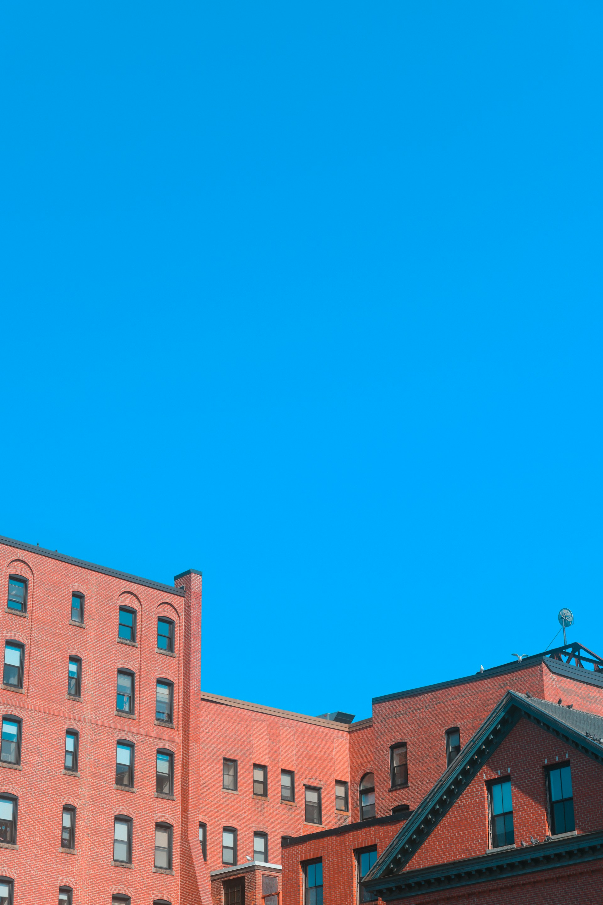 Buildings stand against a bright blue sky.