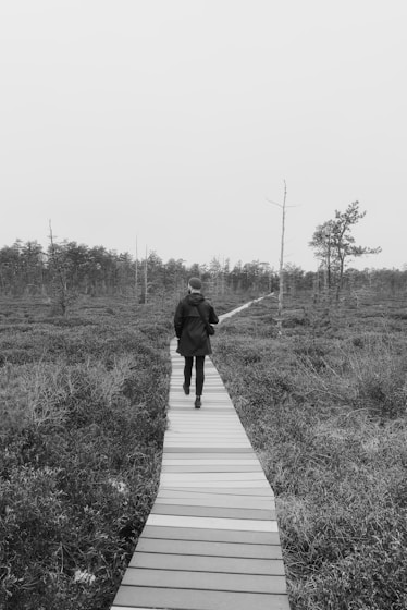 A person walks down a boardwalk through nature.