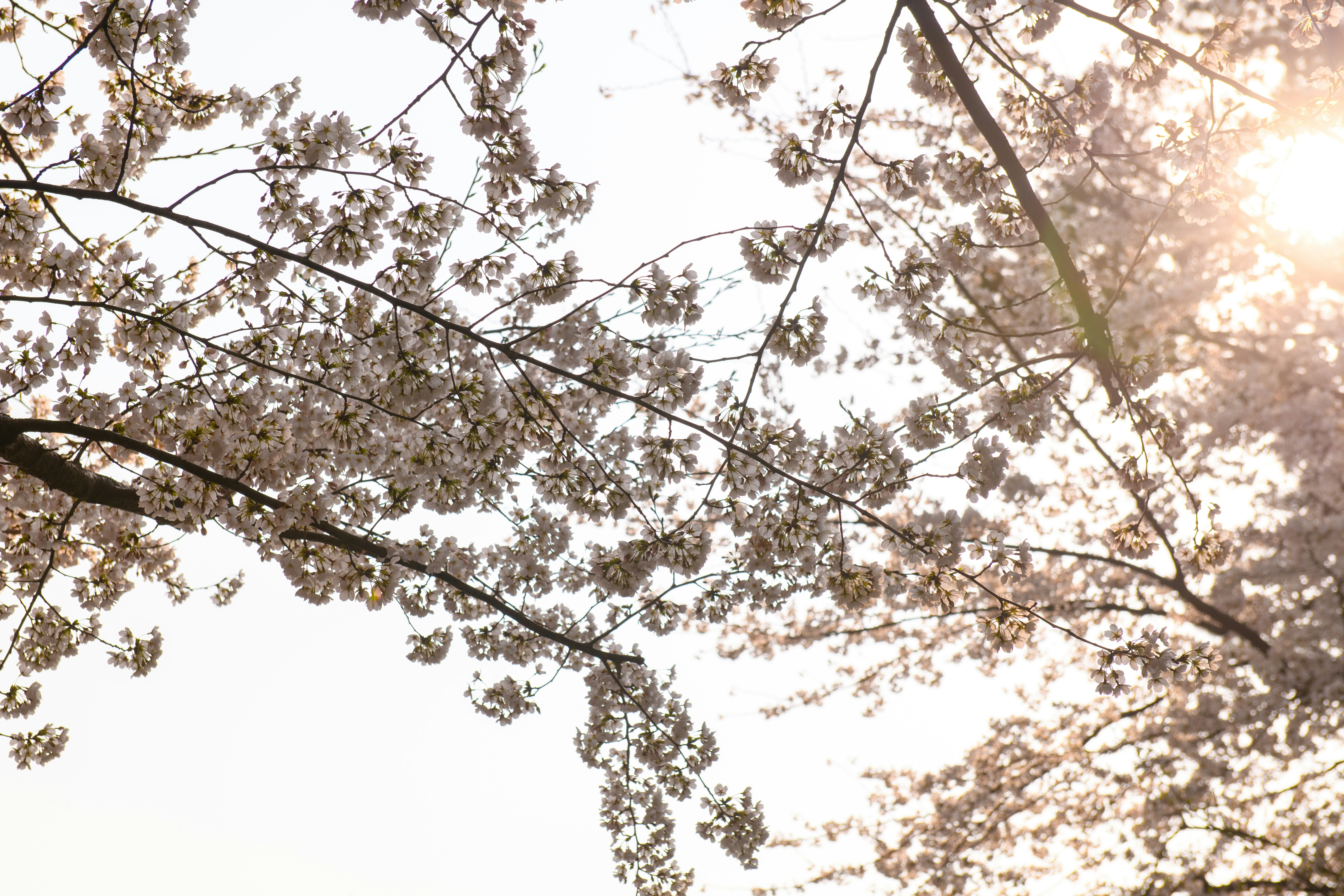 Photo by jiwon_kang
