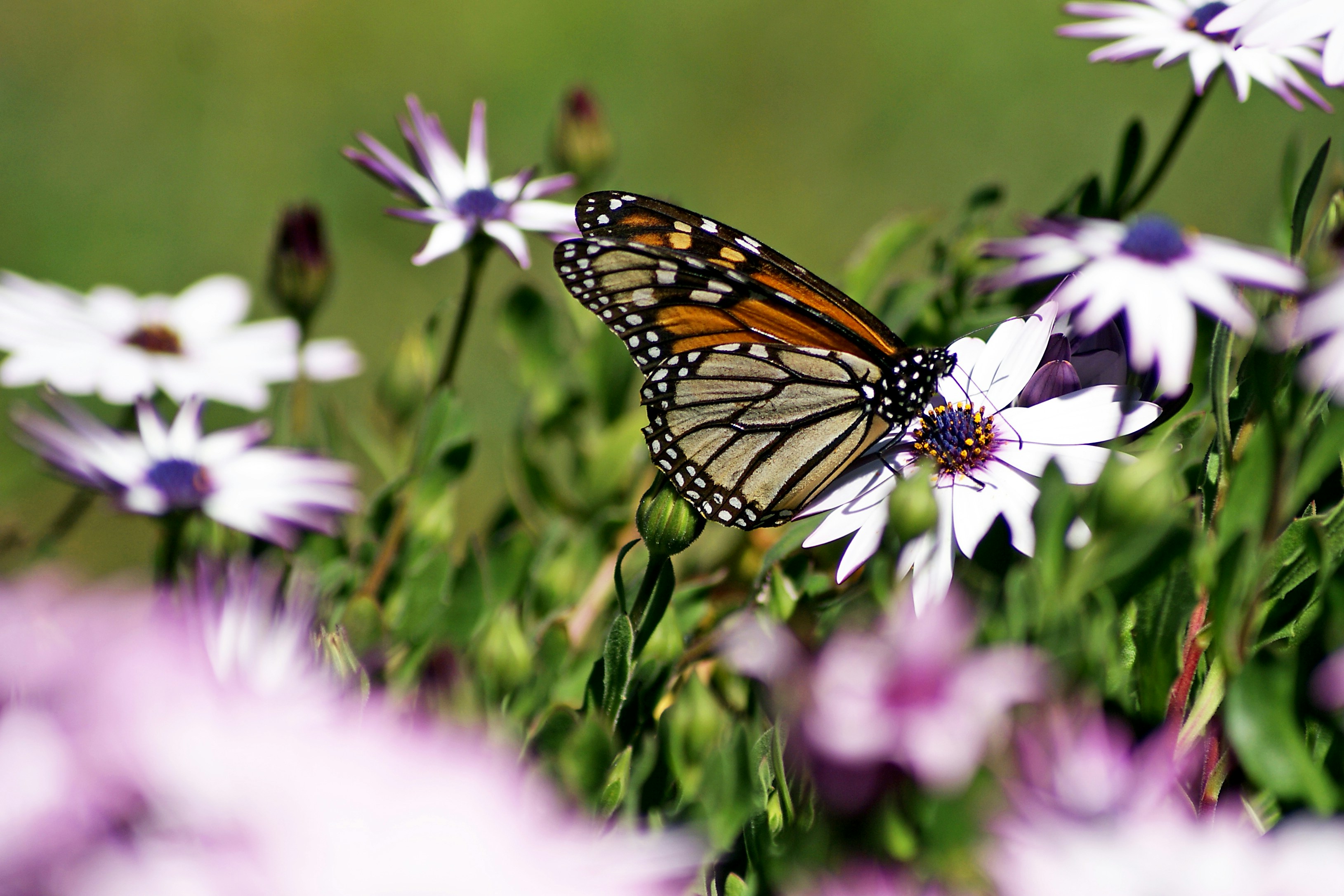 Photo by jemproductions22