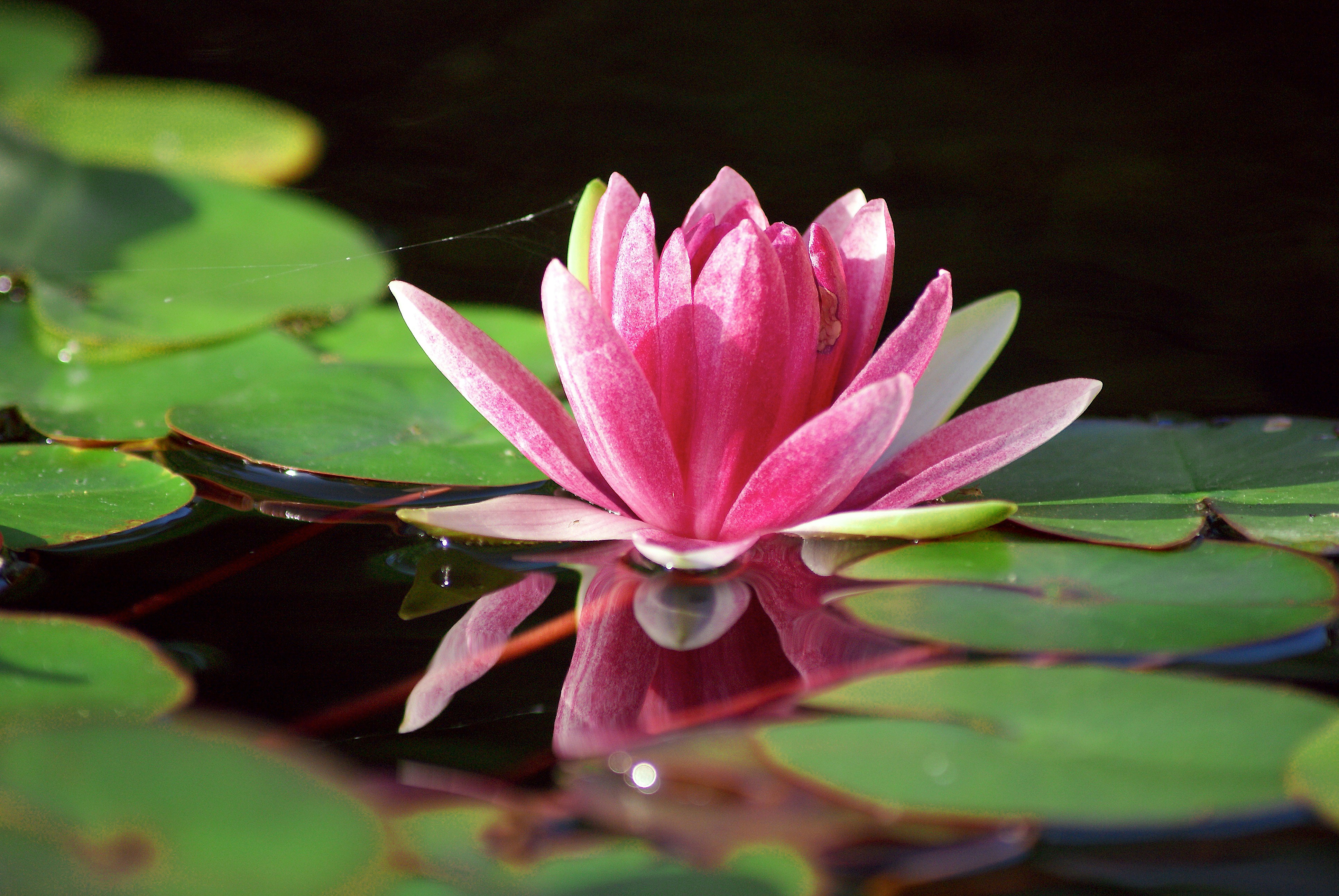 Photo by jemproductions22