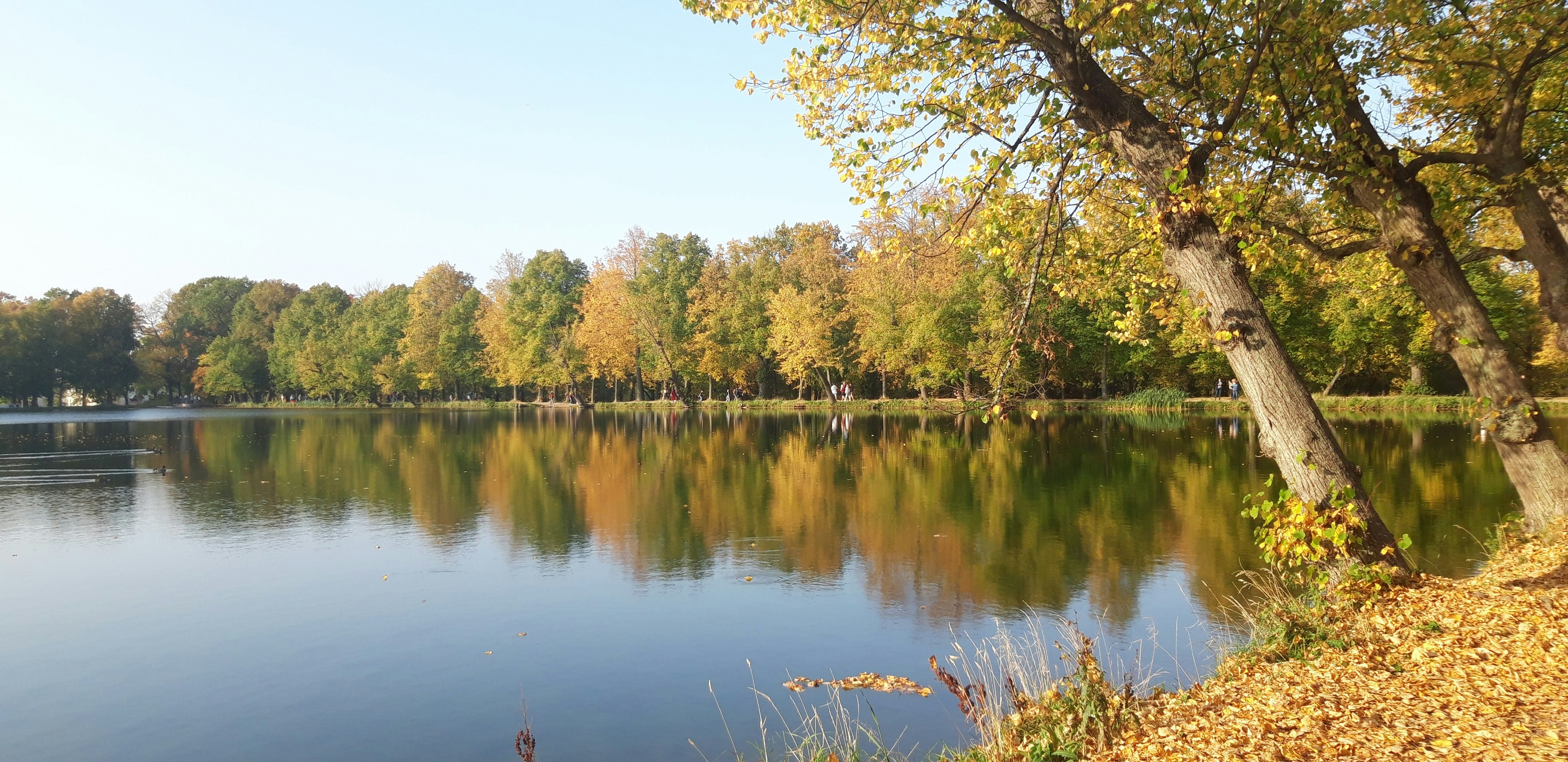 Photo by heartprintart