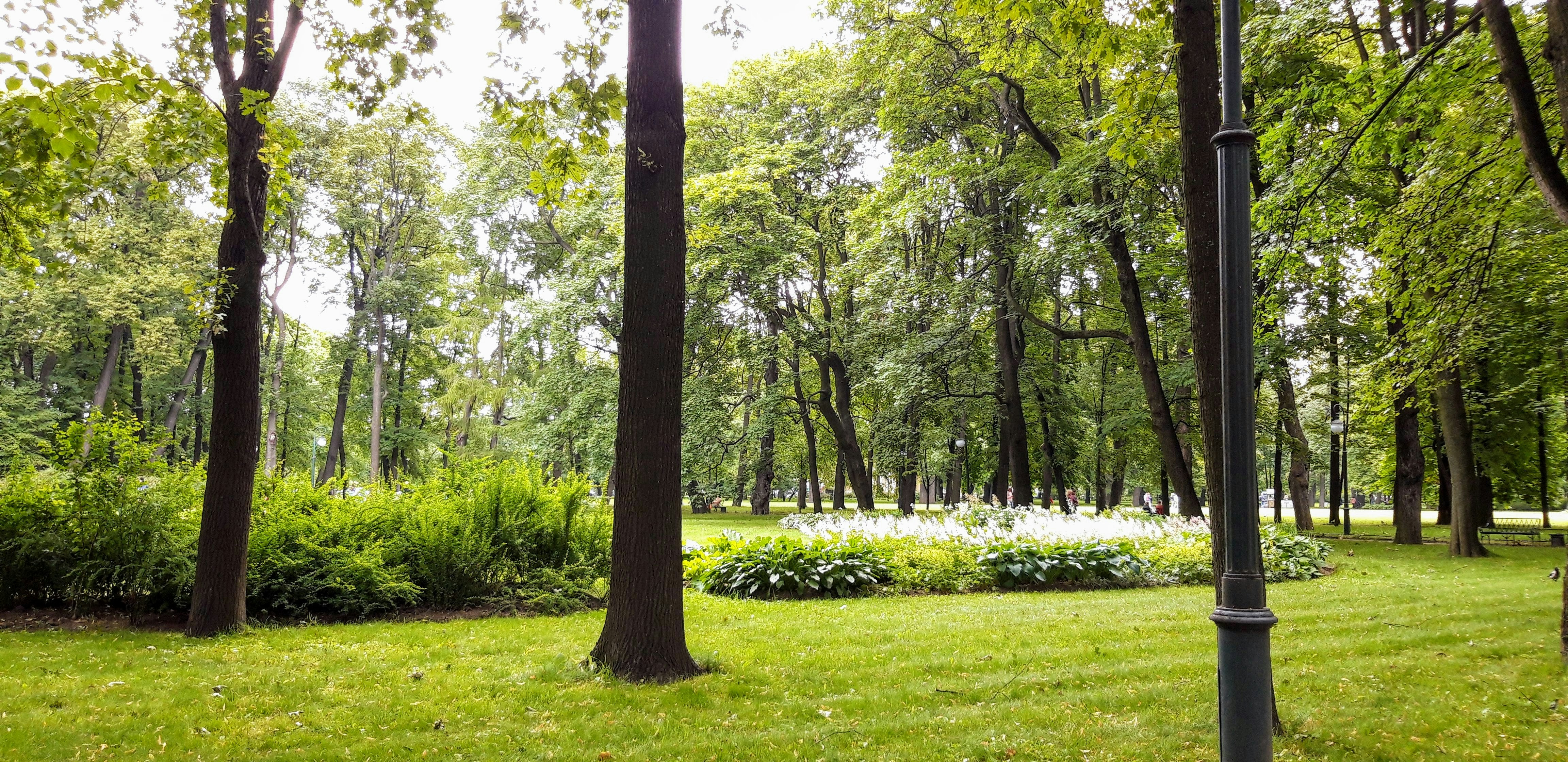 Photo by heartprintart